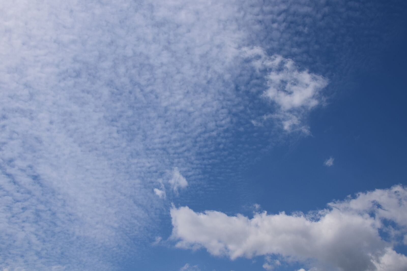 Nikon D3300 sample photo. Mackerel sky and cumulus photography