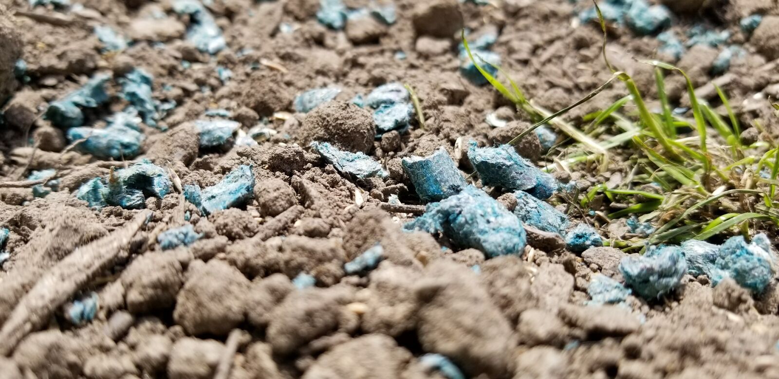 Samsung Galaxy S8 sample photo