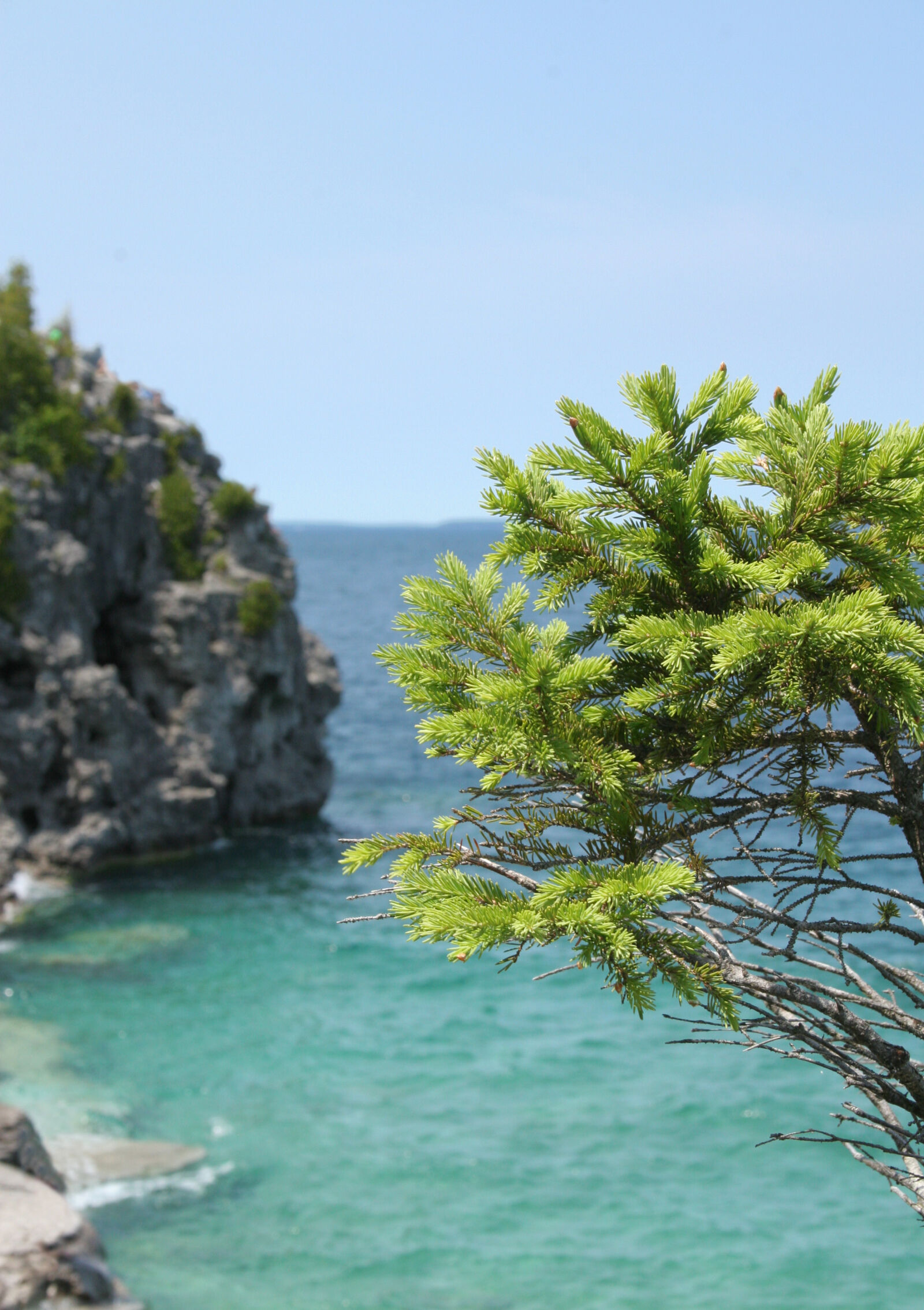 Canon EOS 20D sample photo