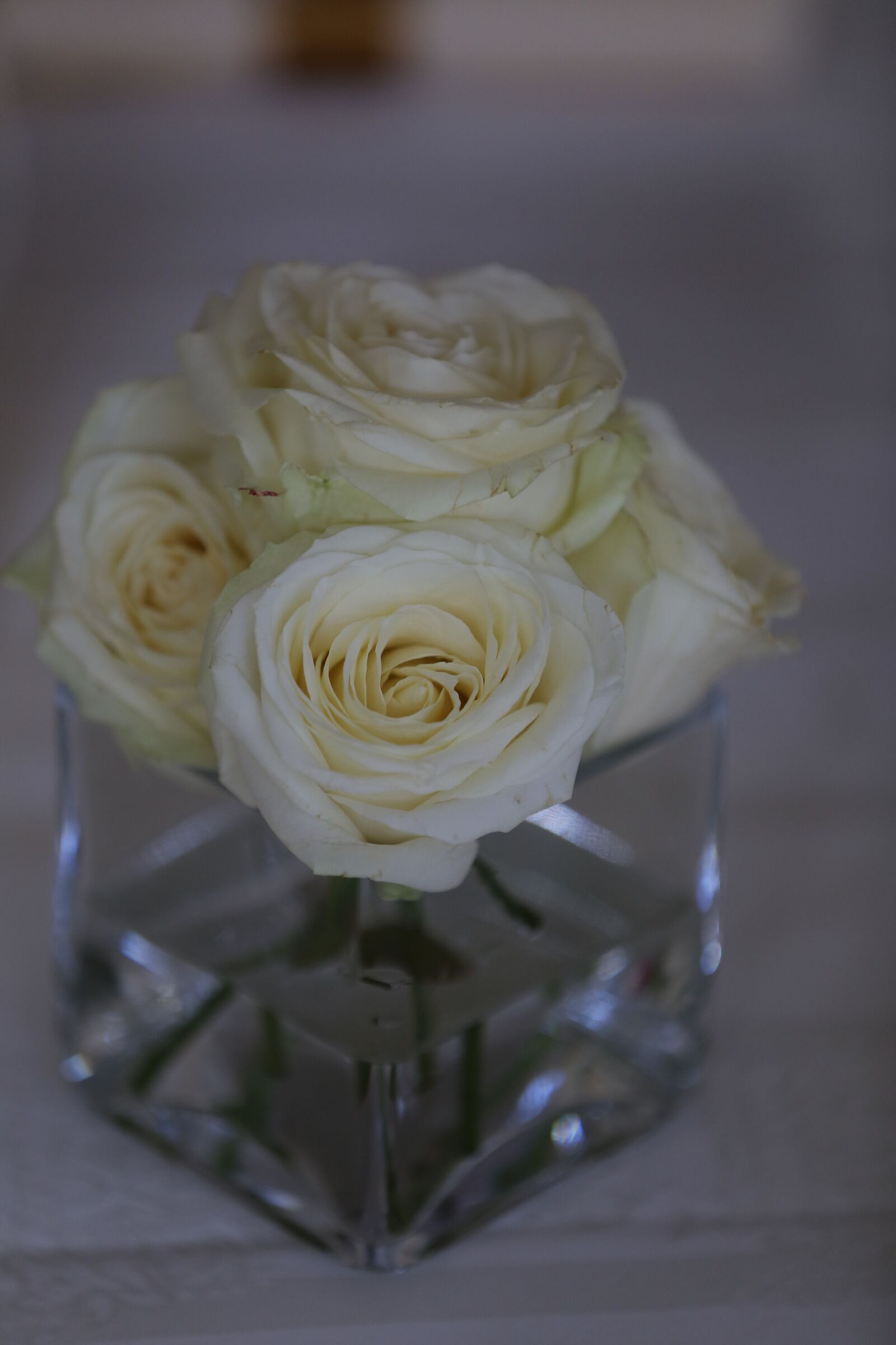 Canon EOS 6D sample photo. White flower, roses, vase photography