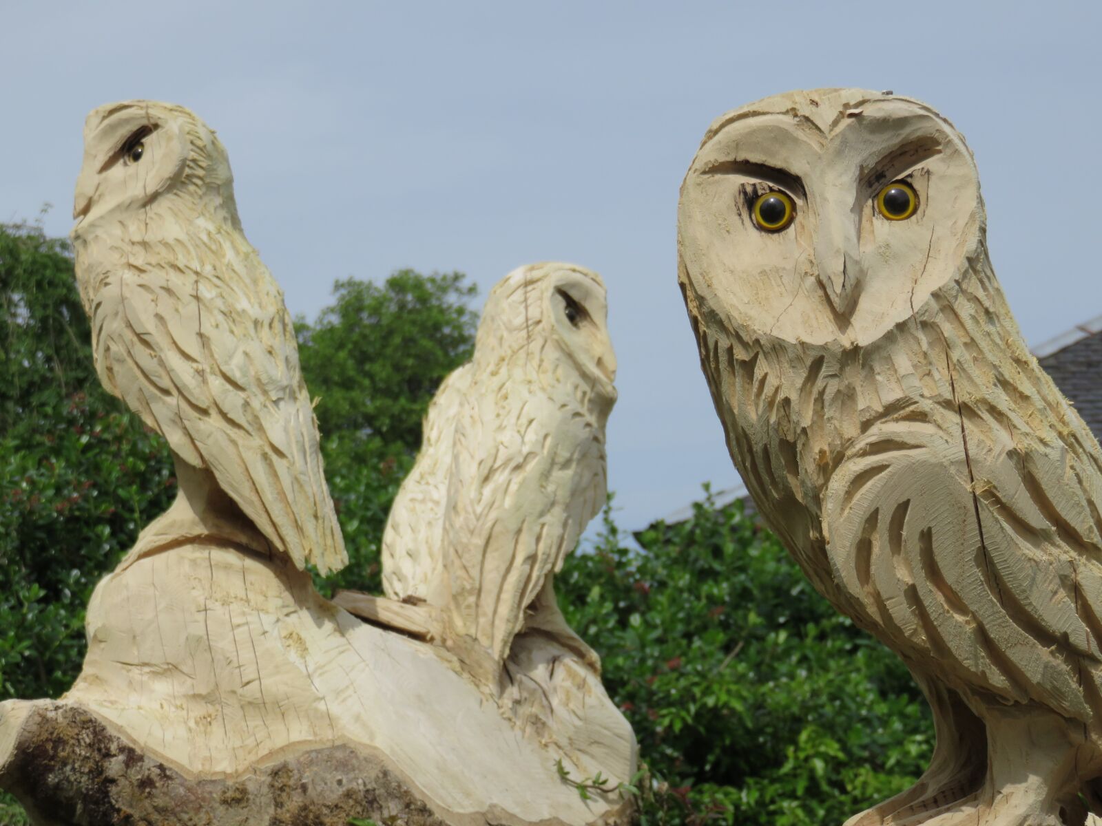 Canon PowerShot SX700 HS sample photo. Carved owls, wise, wood photography