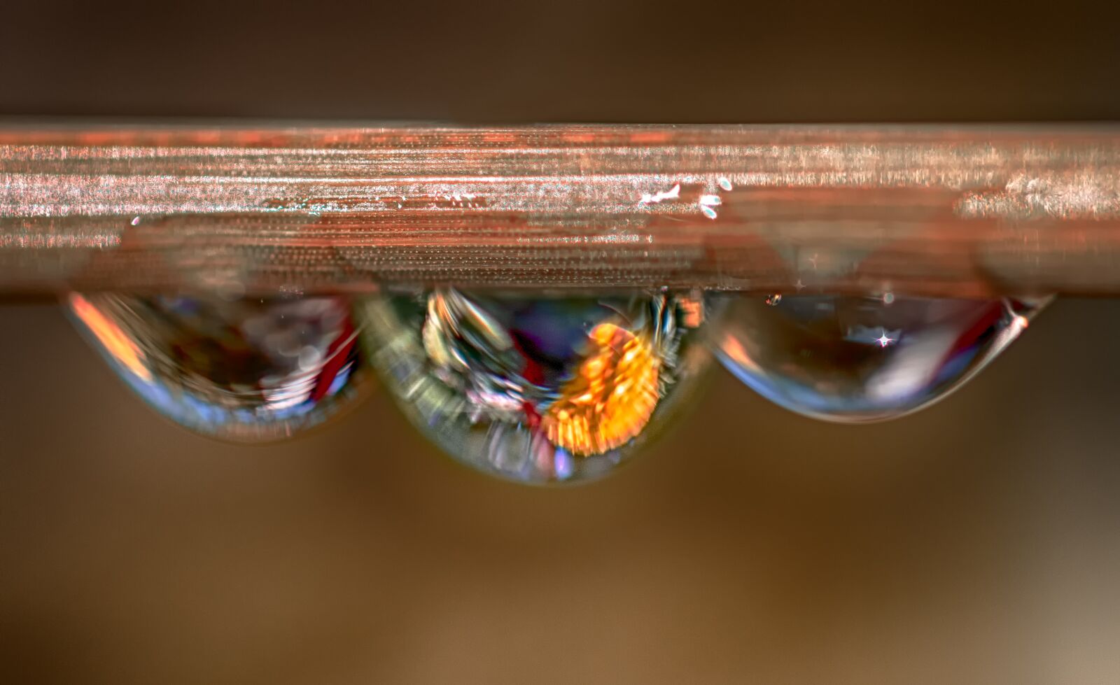 Canon EF 100mm F2.8L Macro IS USM sample photo. Drops of water, nature photography