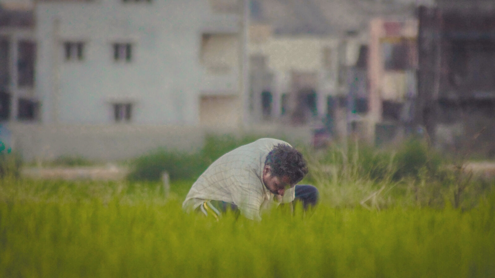 Sony SLT-A58 sample photo. Farmer, working photography