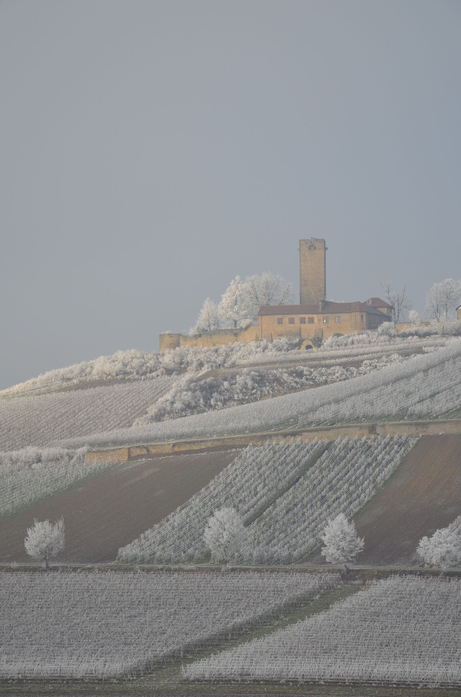Nikon D5100 sample photo. Castle, winter, ripe photography