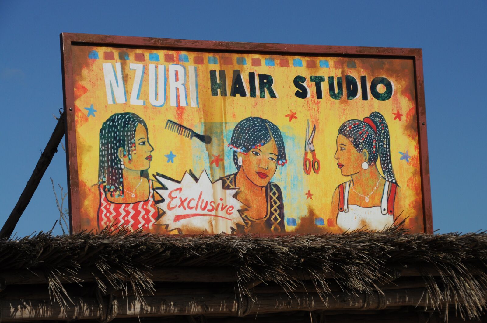 Nikon D5000 sample photo. Shield, art, africa photography