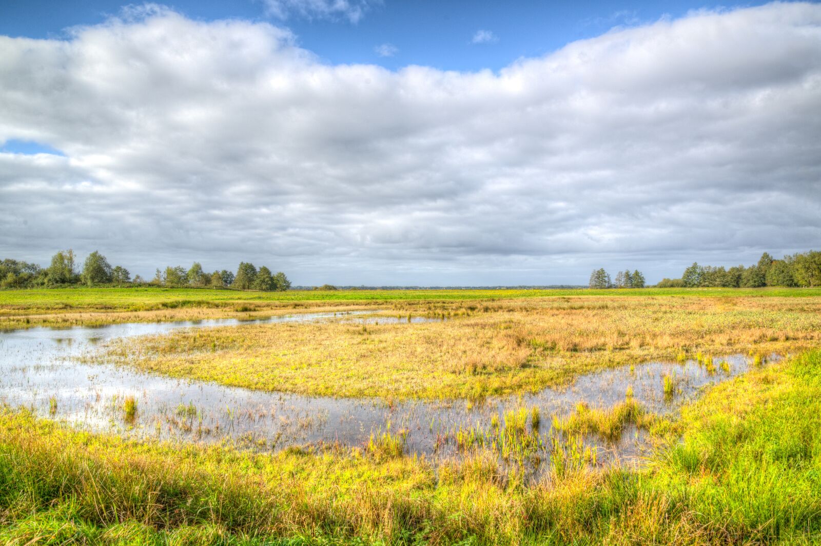 Nikon D610 sample photo. Landscape, meadows, blue sky photography