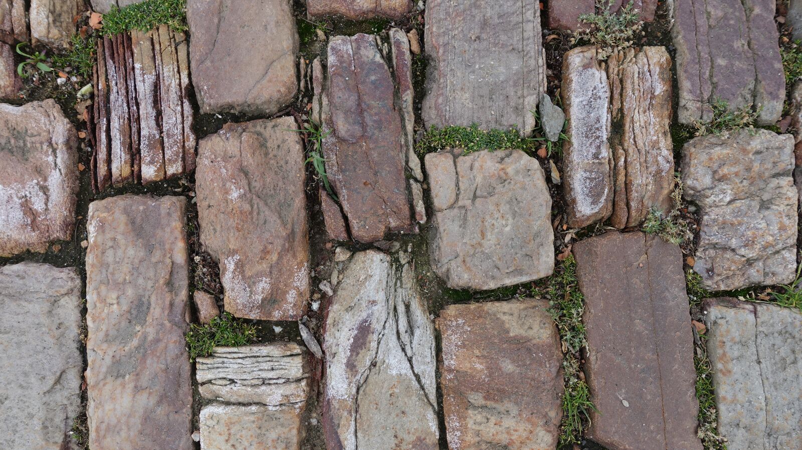 Sony Cyber-shot DSC-RX100 IV sample photo. Patch, stones, cobblestones photography