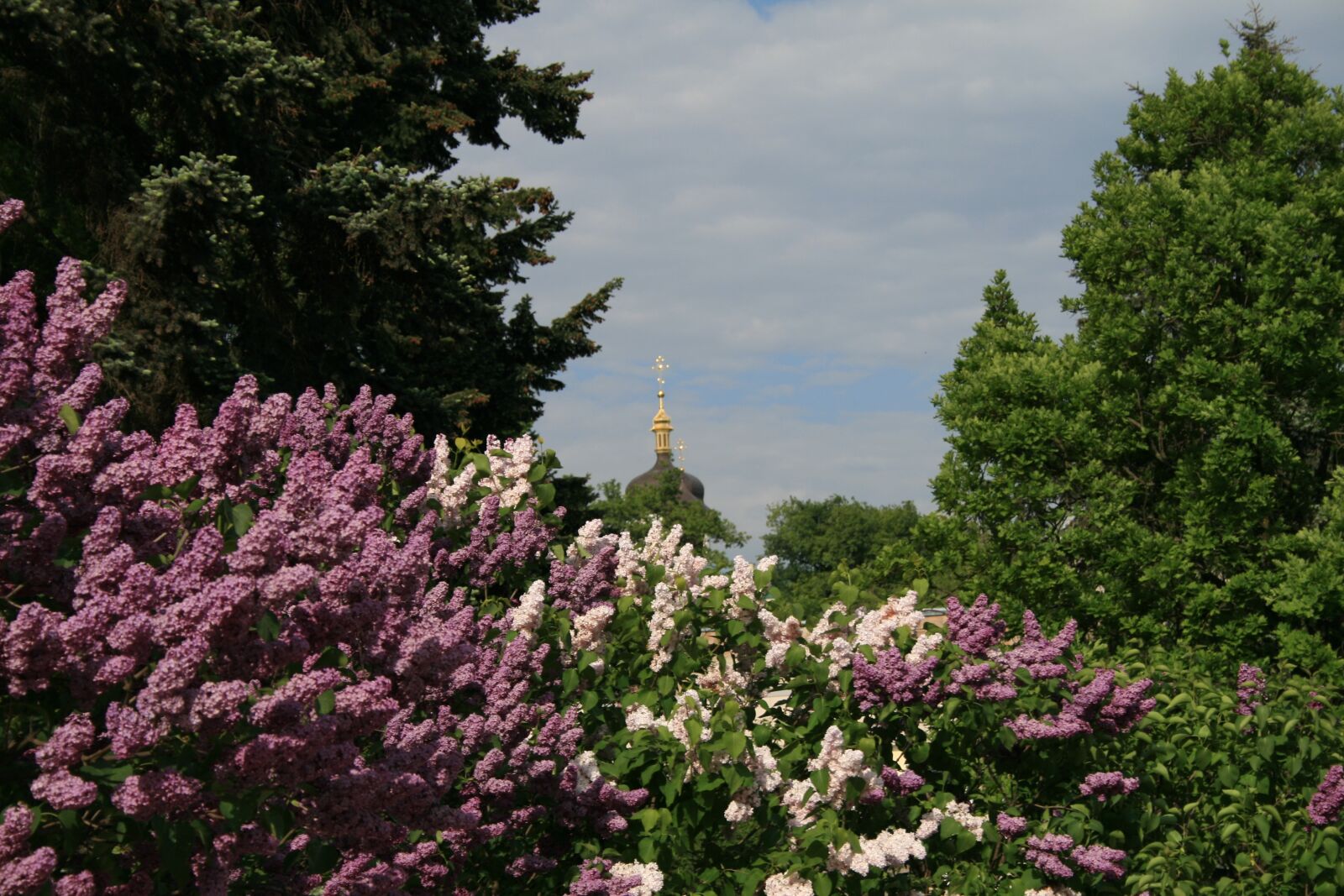 Canon EOS 400D (EOS Digital Rebel XTi / EOS Kiss Digital X) sample photo. Lilac, landscape, sky photography