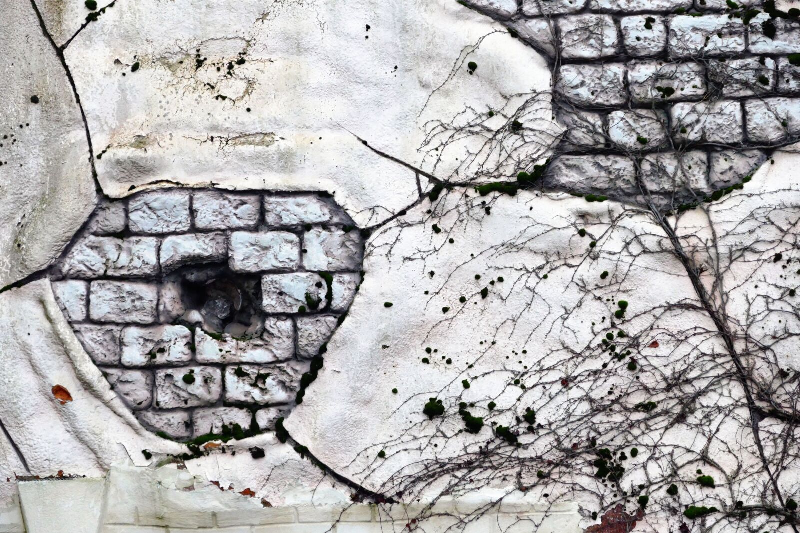 Panasonic Lumix DMC-FZ1000 sample photo. Wall, bricks, texture photography