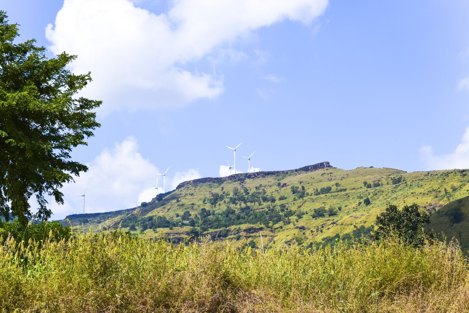 Nikon D5600 sample photo. Wind mills, nature, windmills photography