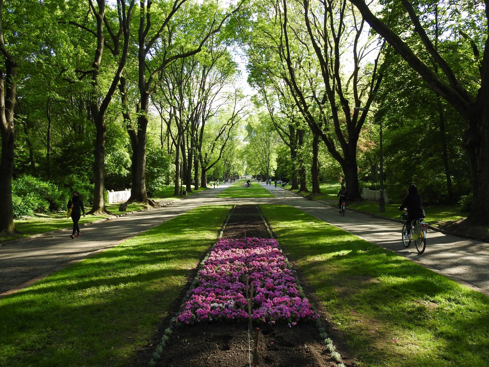 Nikon Coolpix P900 sample photo. Park, green, spring photography
