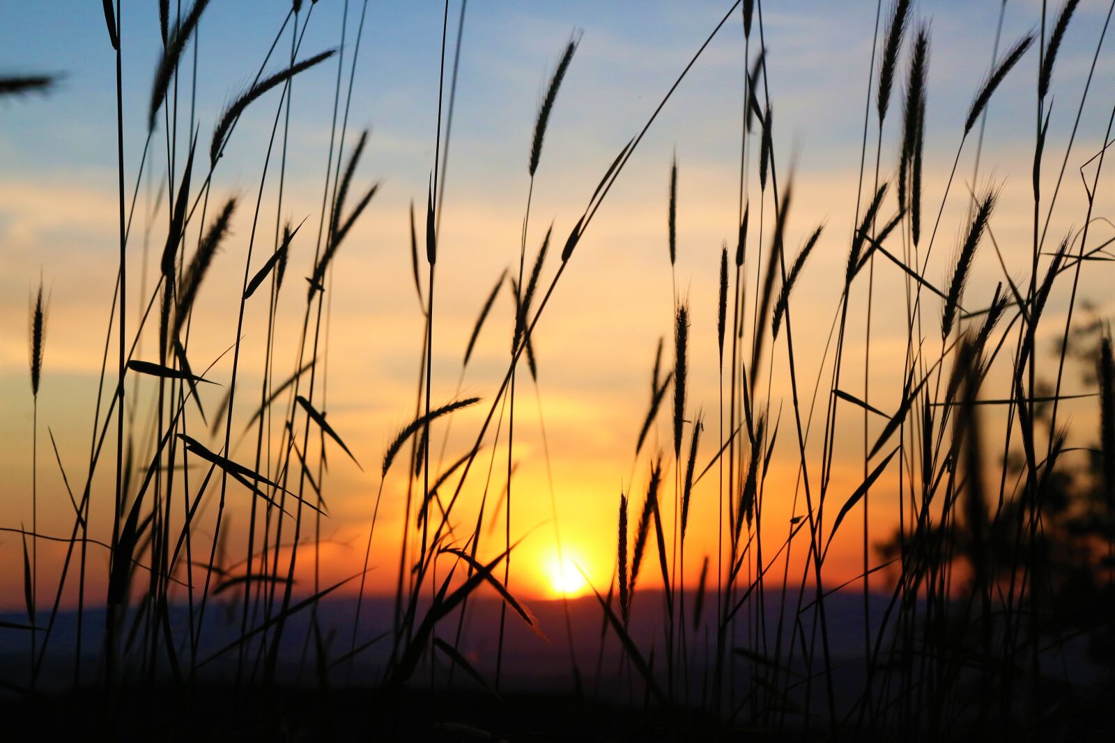 Canon EF 24-105mm F4L IS USM sample photo. Sunset, in the evening photography