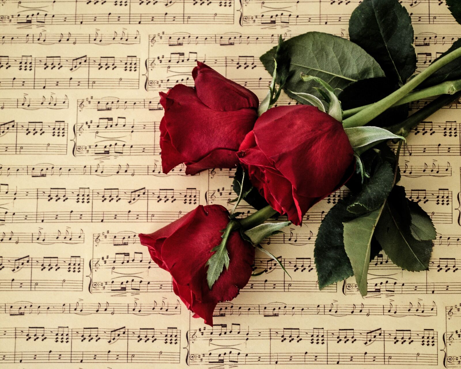 Nikon D5100 sample photo. Love, paper, romance photography