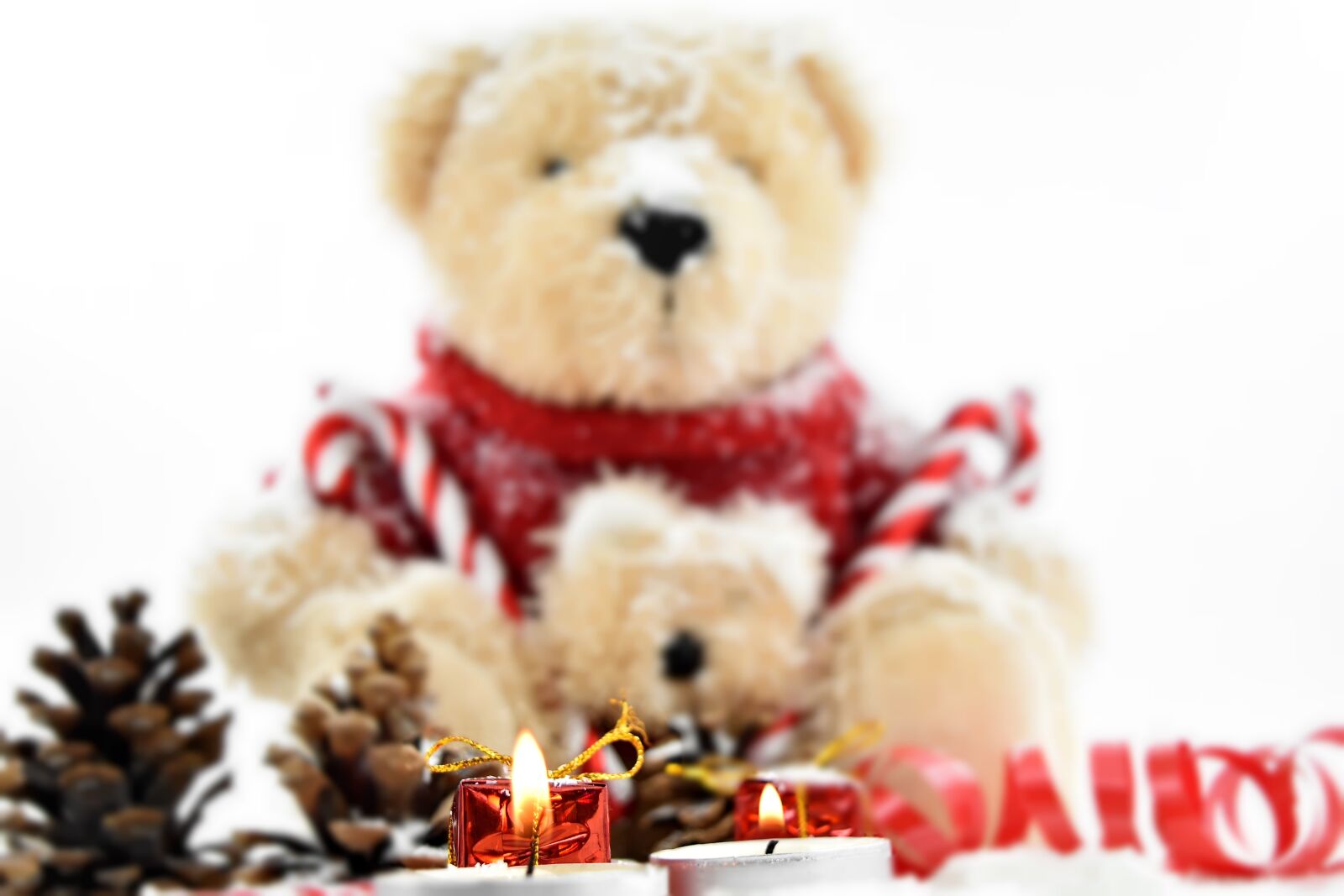 Nikon D5500 sample photo. Candlelight, candles, christmas, conifers photography