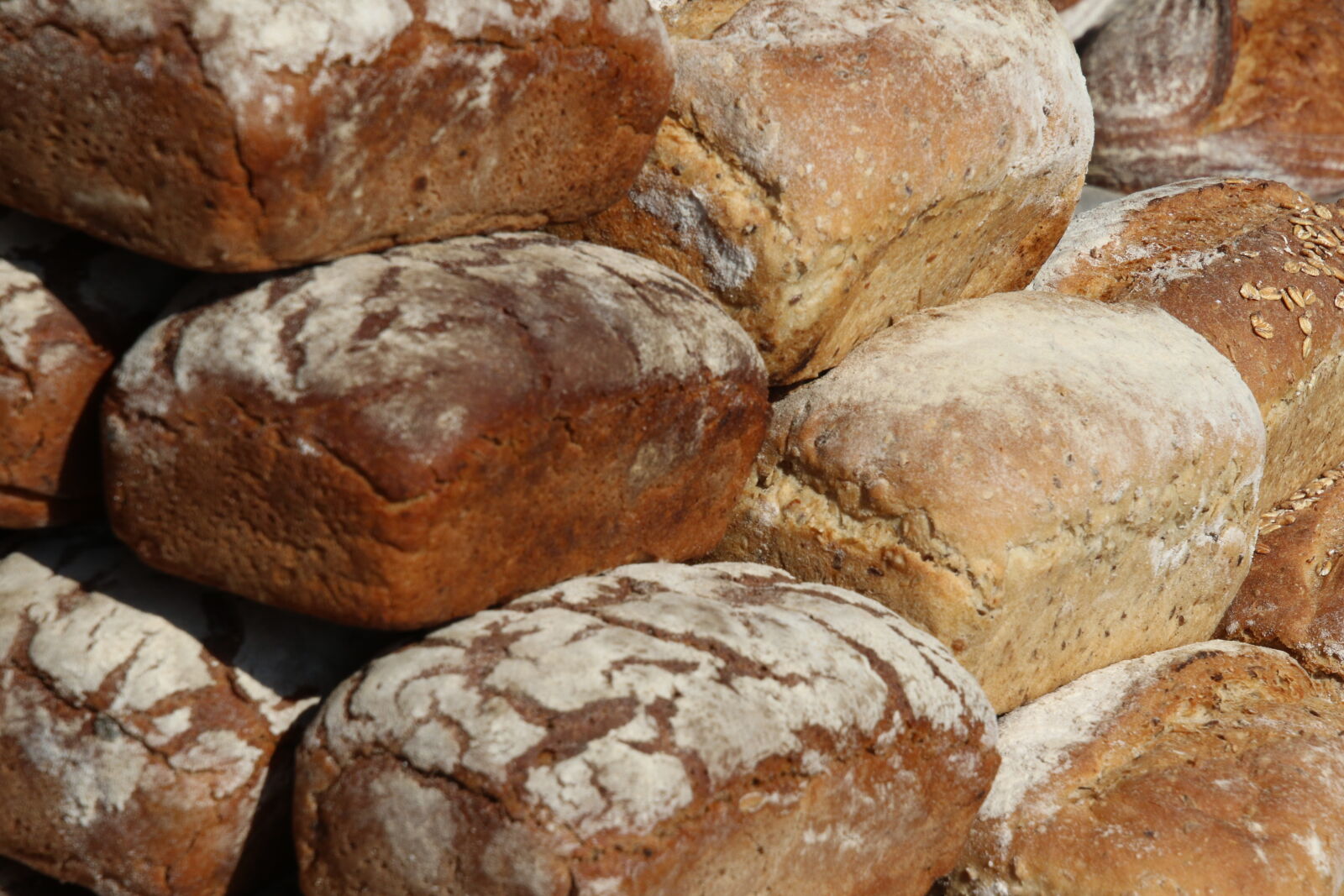 Canon EOS 7D Mark II sample photo. Bread, delicacy, dinner, eat photography