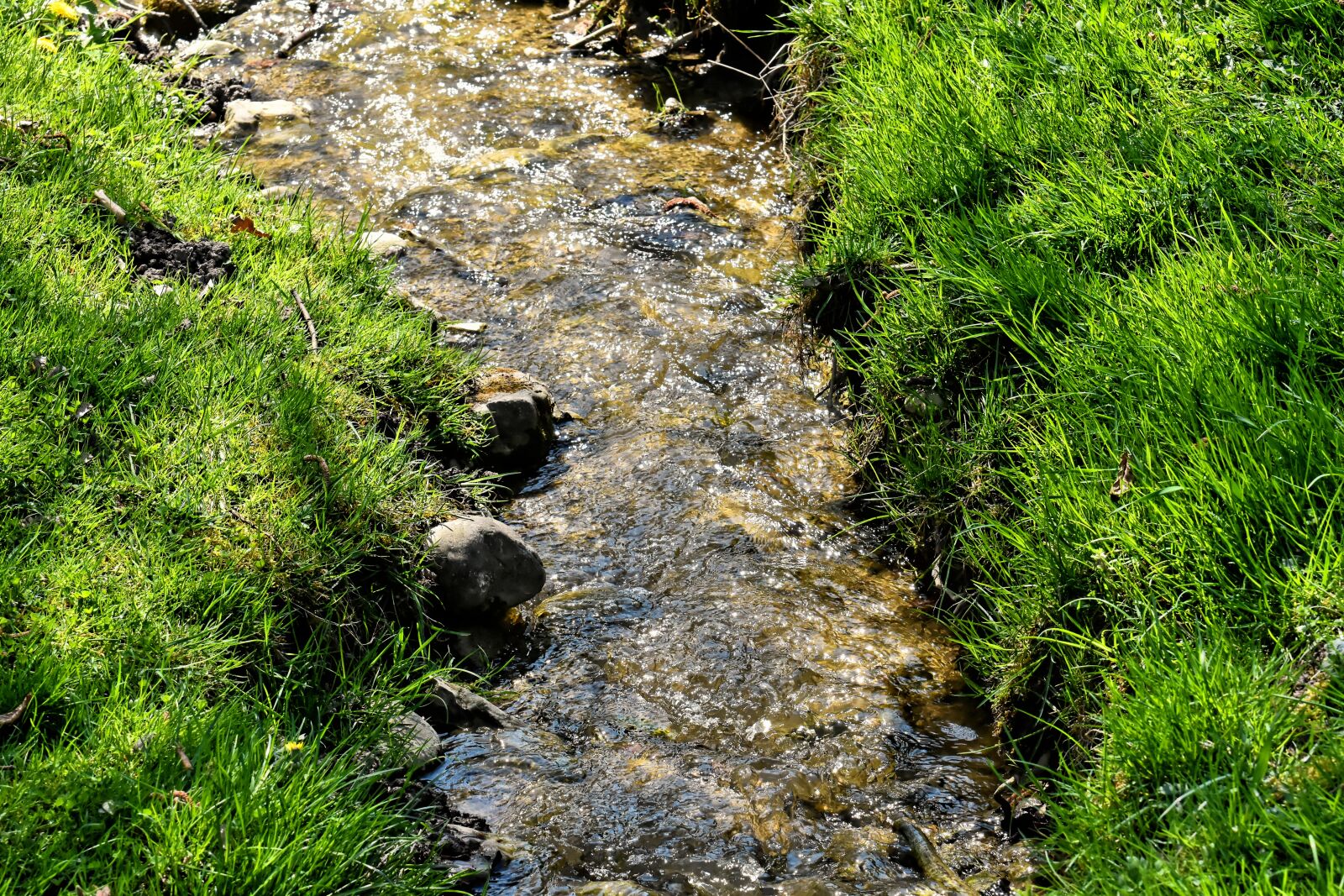 Nikon D7200 sample photo. Bach, creek, landscape photography