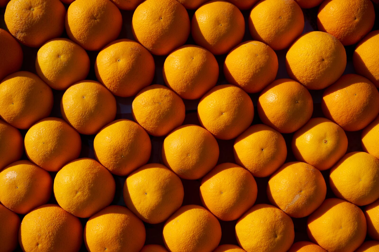 Sony a7R II sample photo. Orange, fruit, vitamins photography