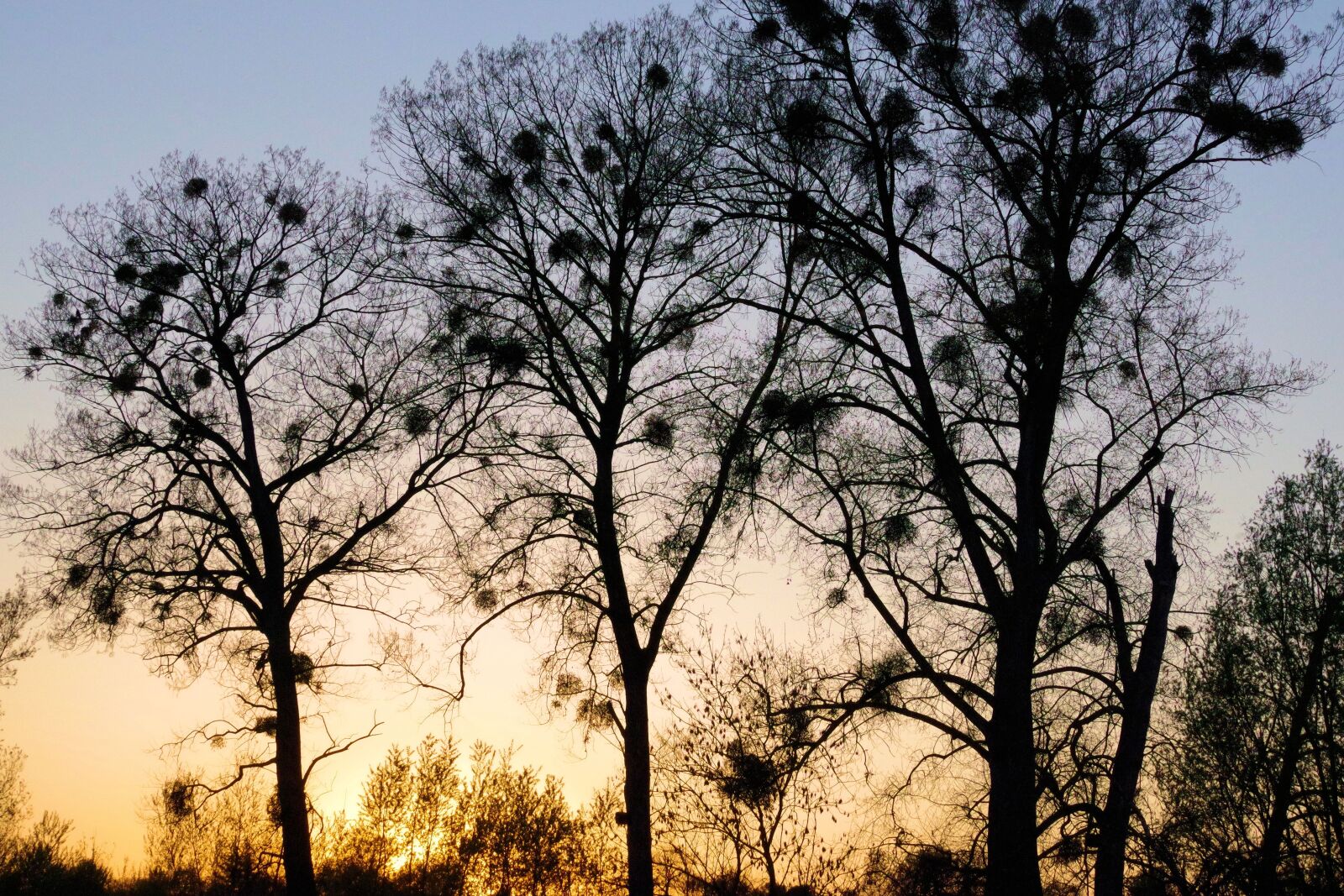 Pentax K-70 sample photo. Abendstimmung, sunset, nature photography