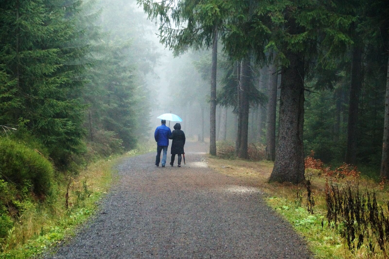 Sony SLT-A58 sample photo. Path, couple, rainy photography