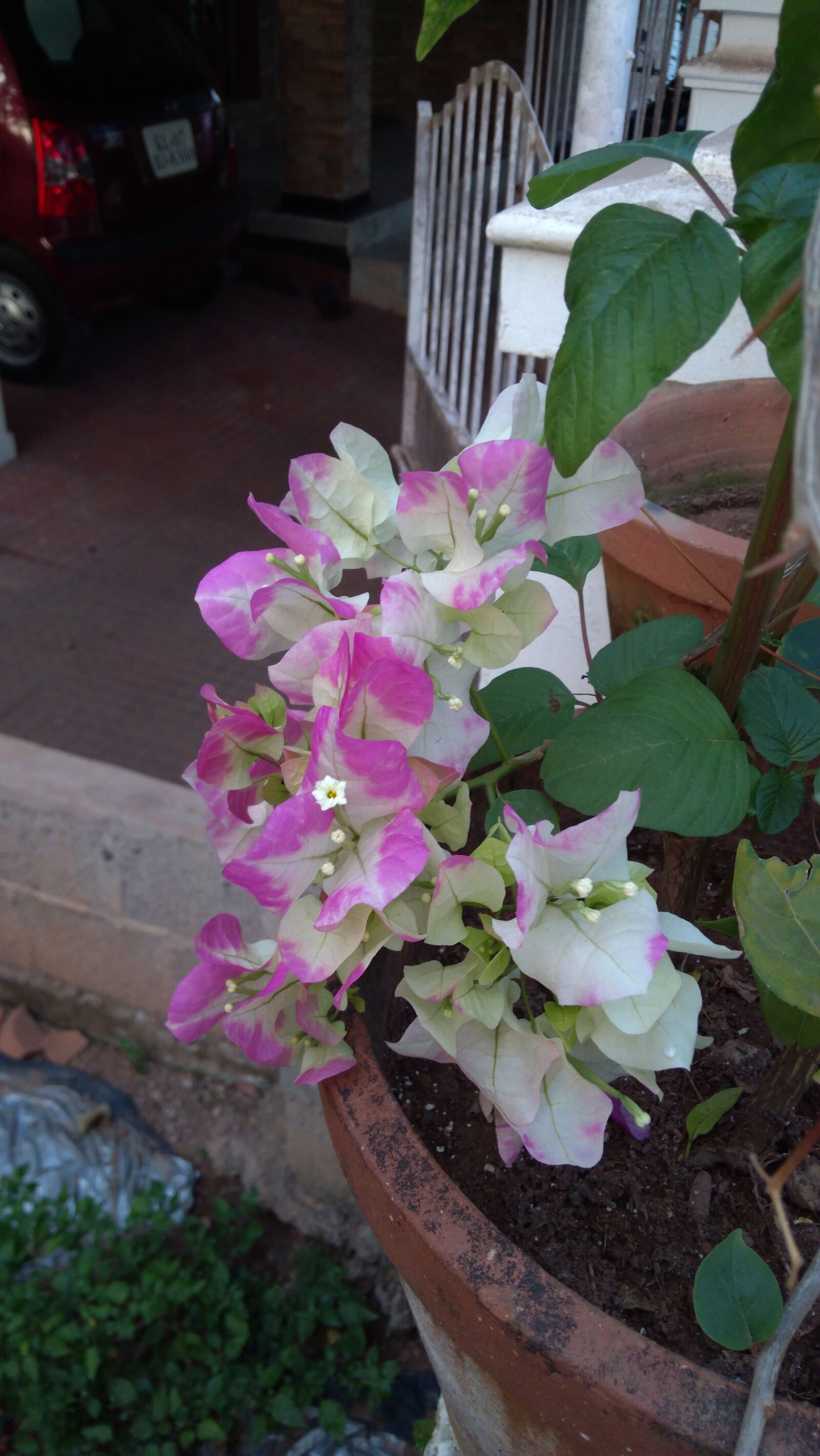 Lenovo K6 NOTE sample photo