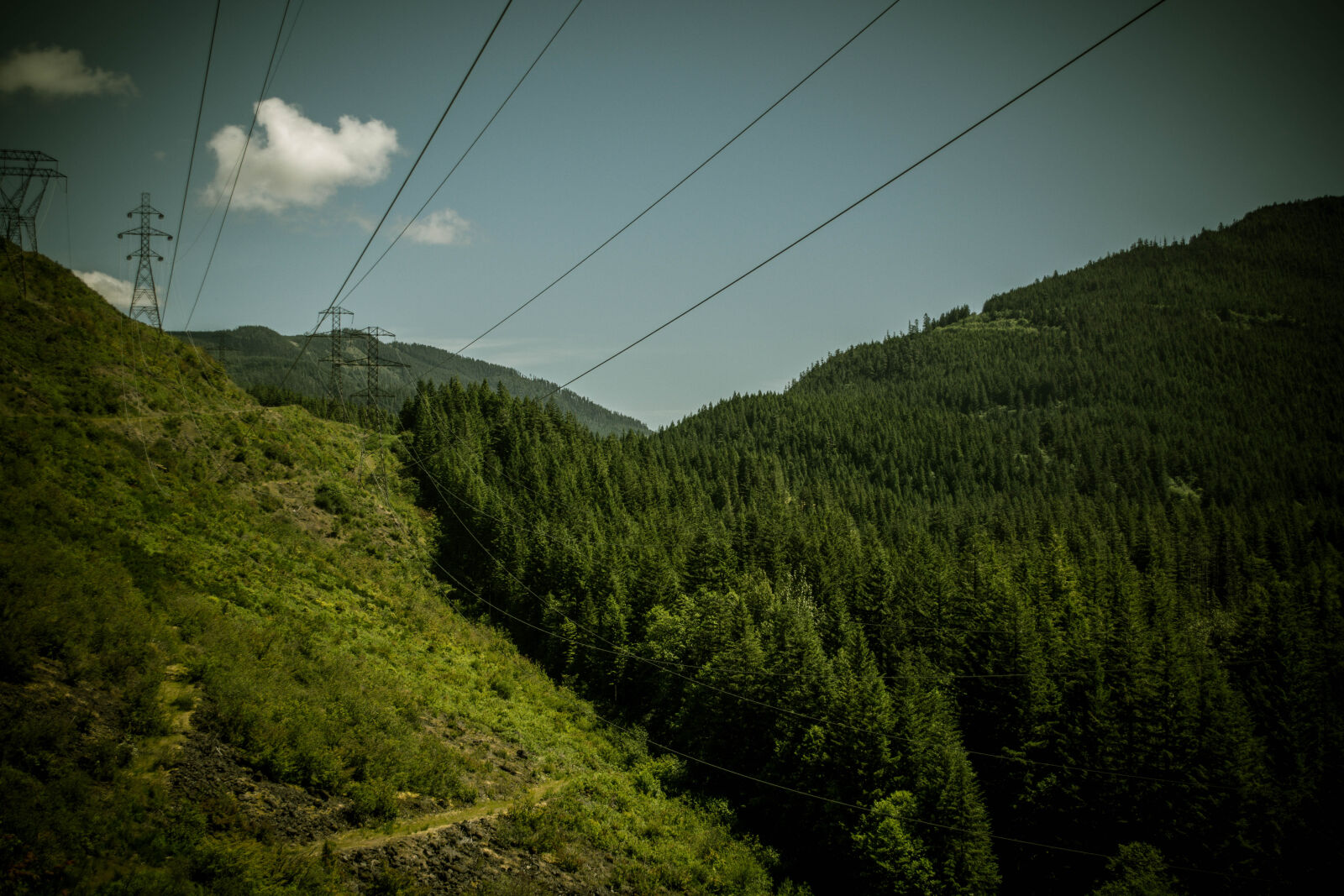 Nikon D5200 sample photo