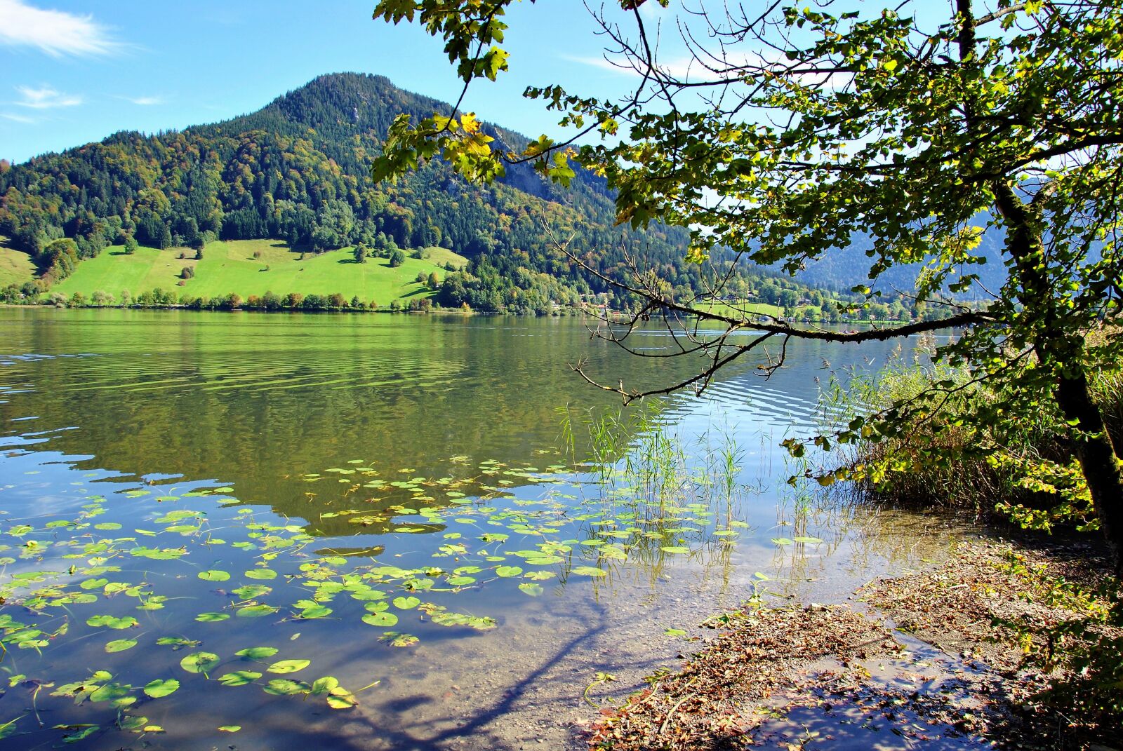 Nikon D3000 sample photo. Nature, lake, mountains photography