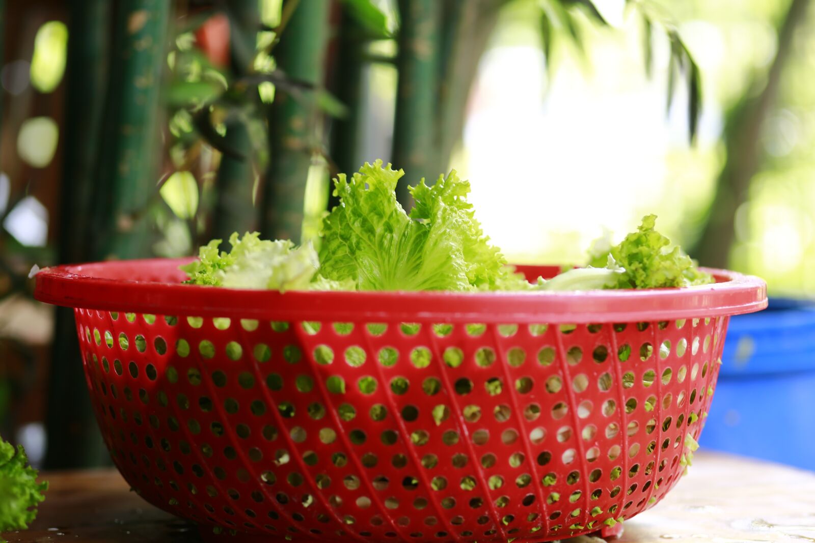 Canon EF 85mm F1.8 USM sample photo. Vegetables, vegetable basket, green photography