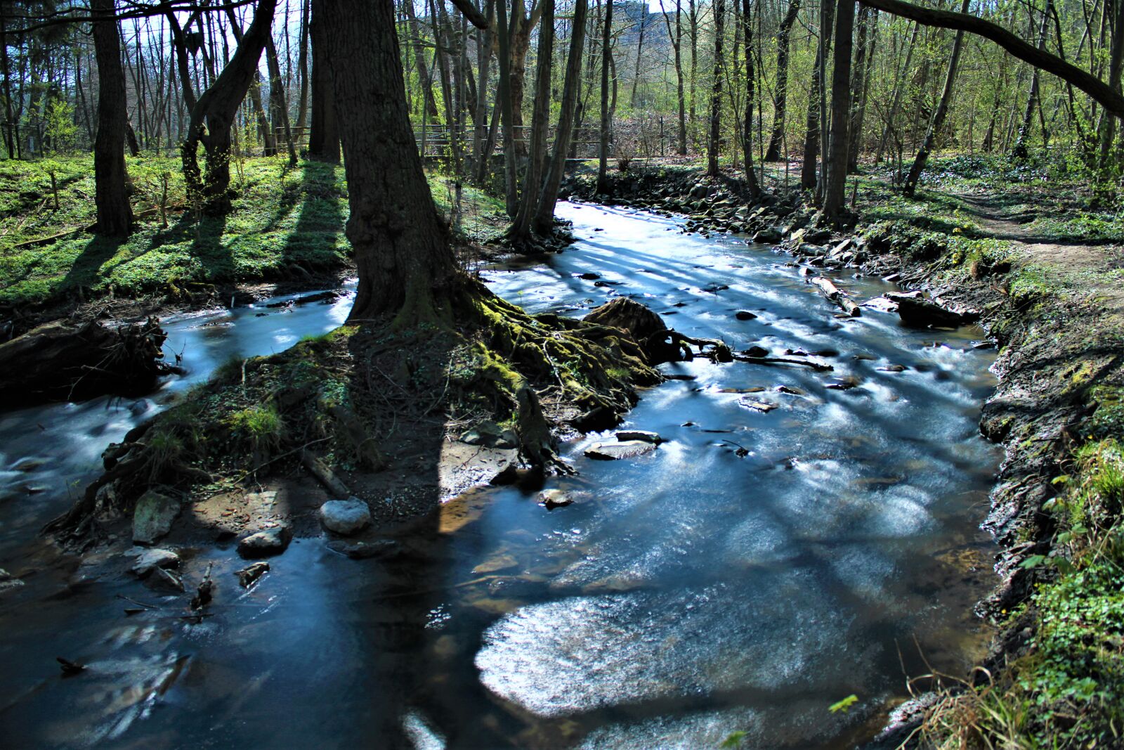 Canon EOS 2000D (EOS Rebel T7 / EOS Kiss X90 / EOS 1500D) sample photo. Bach, water, soft photography