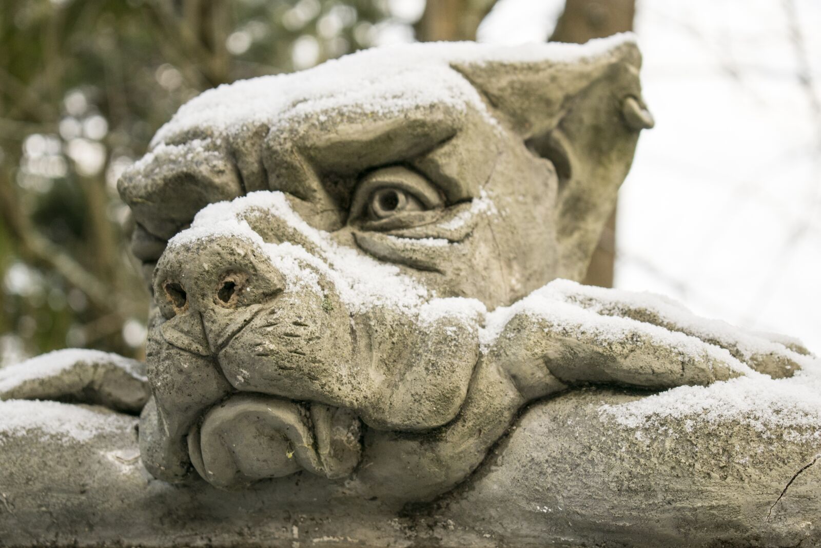 Nikon D3300 sample photo. Nature, animal, statue photography
