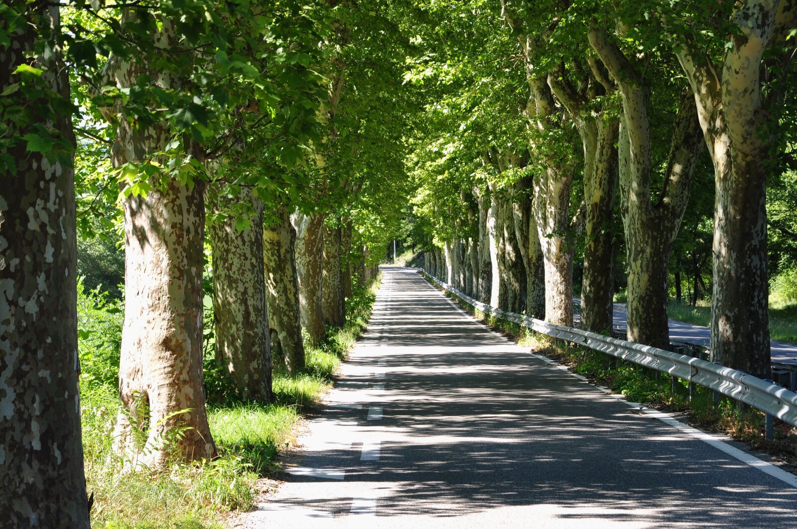 Nikon D90 sample photo. Landscape, nature, road photography