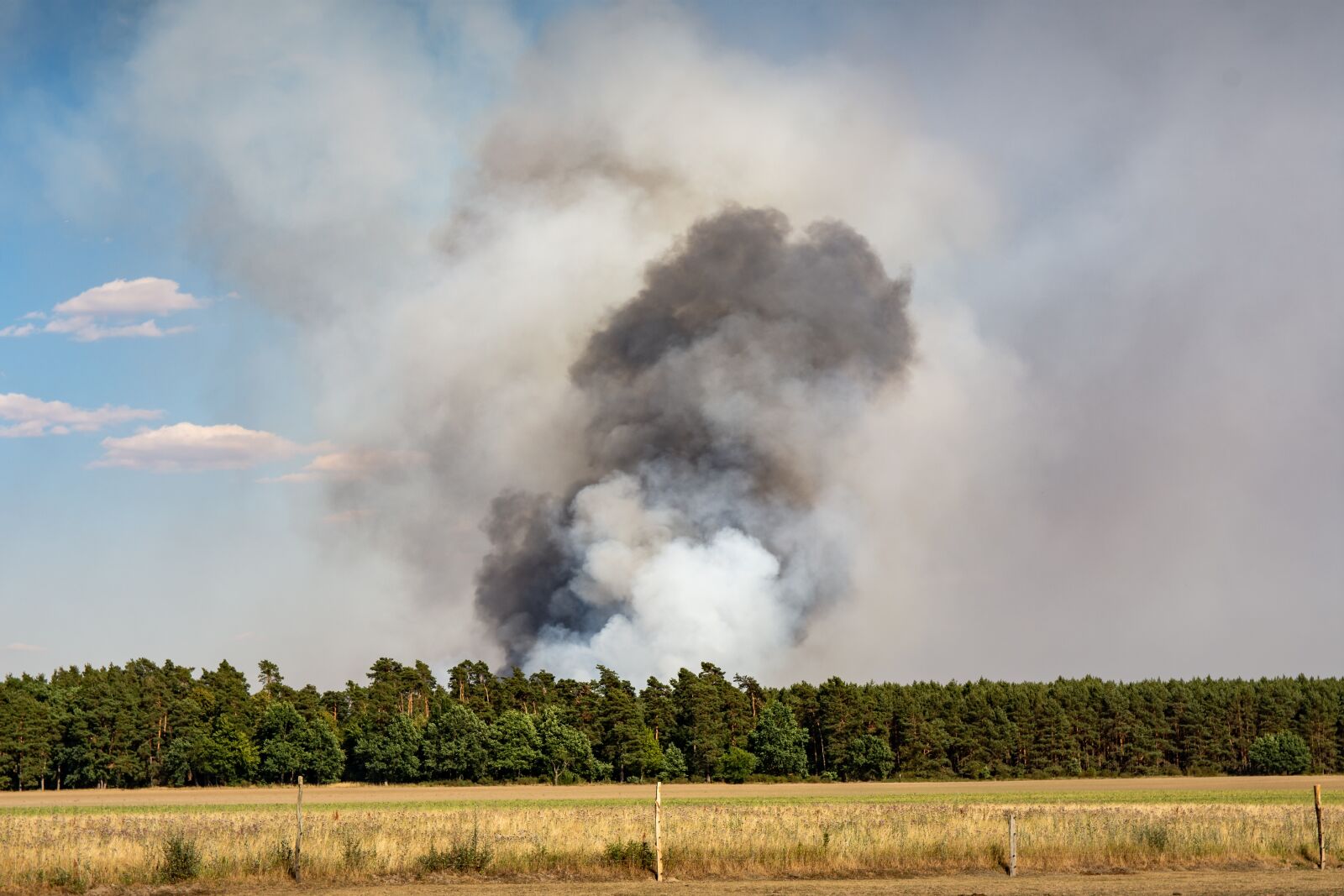 Nikon D7200 sample photo. Brand, forest fire, risk photography
