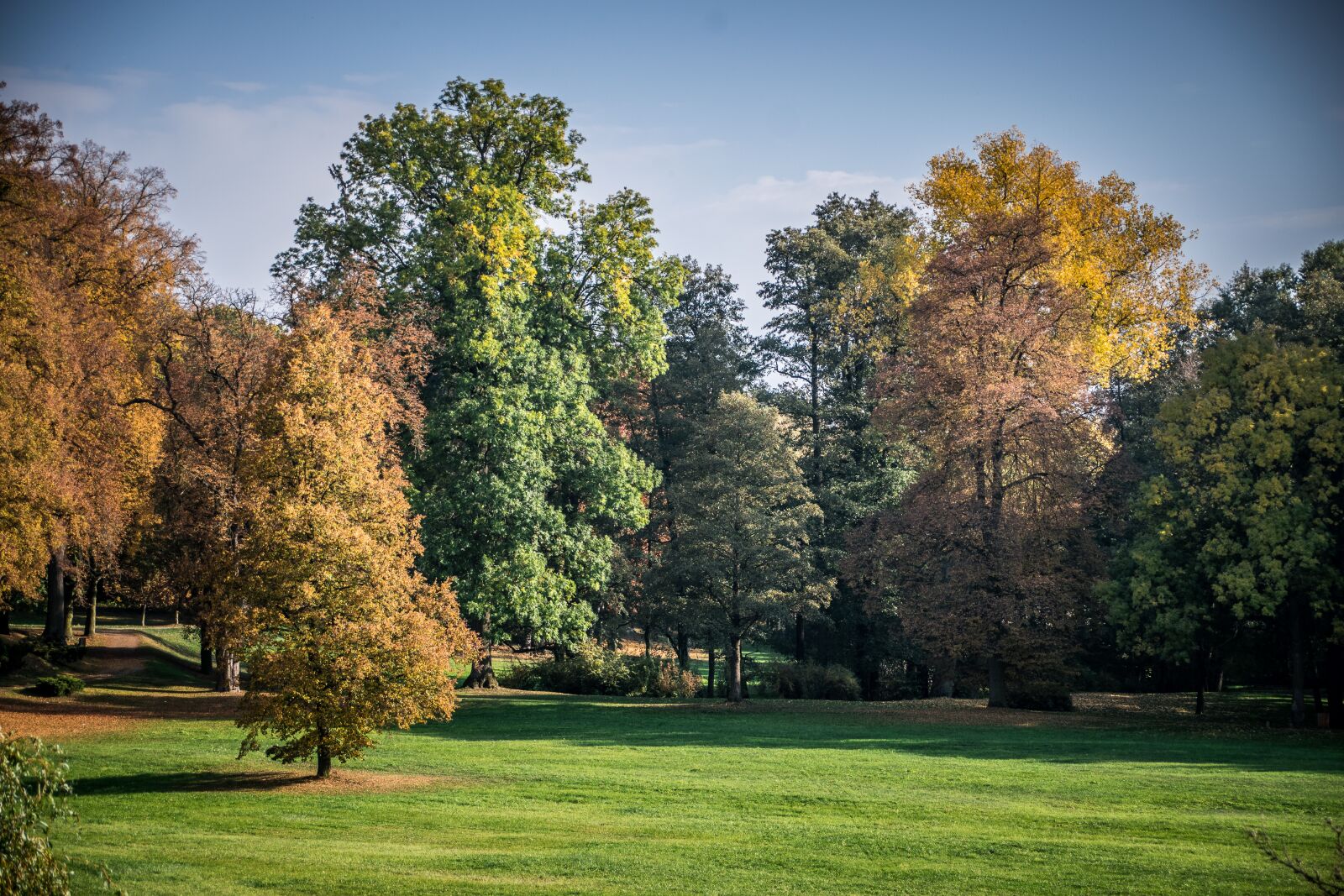 Nikon D5300 sample photo. Autumn, park, foliage photography