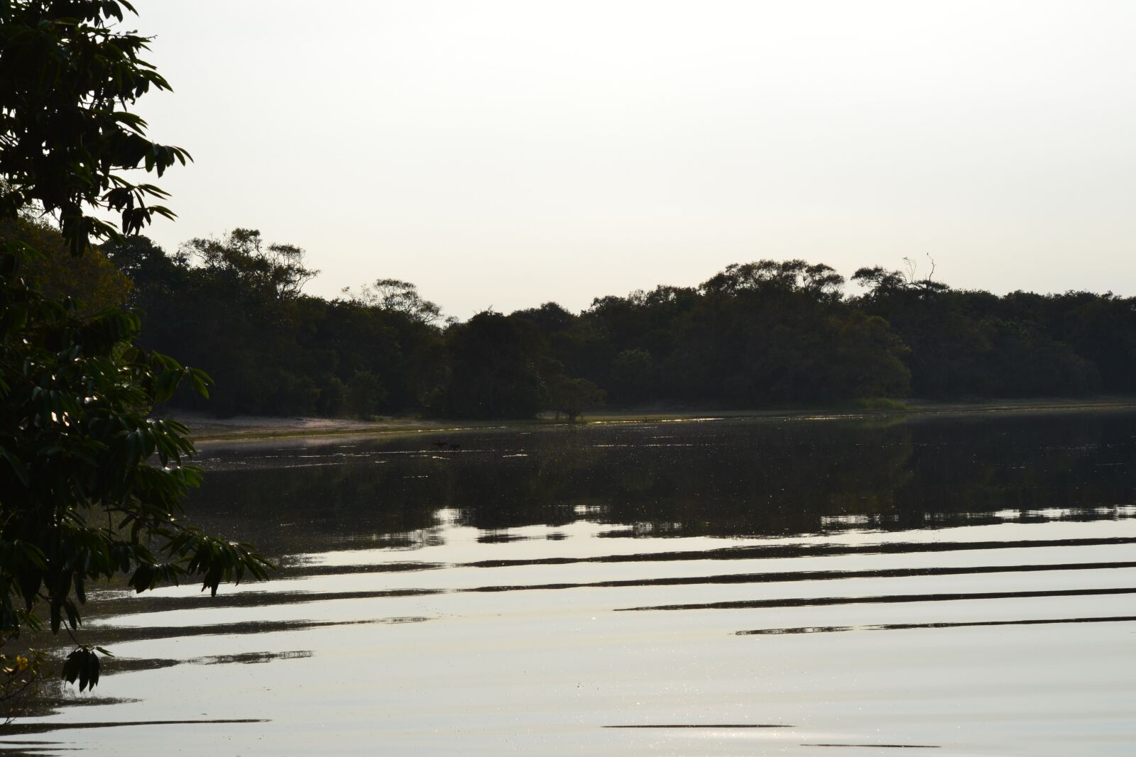 Nikon D3100 sample photo. Lake, sri lanka, dawn photography