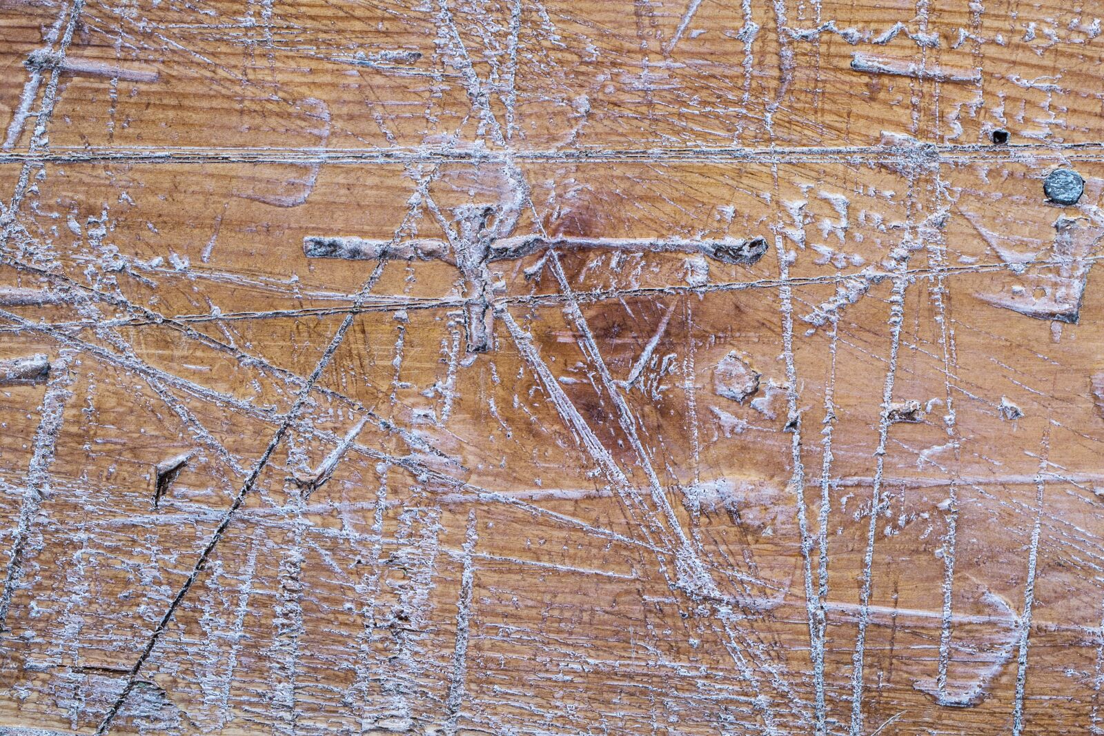 Canon EF 100mm F2.8L Macro IS USM sample photo. Wood, texture, ground photography