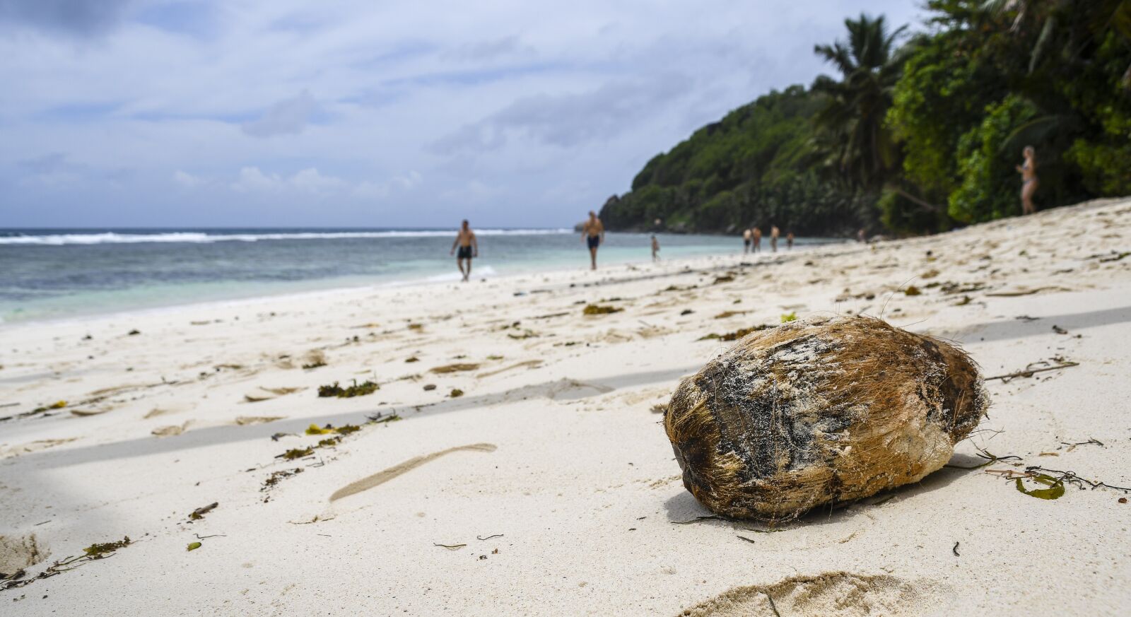 Nikon D500 sample photo. Seychelles, beach, beachfront photography