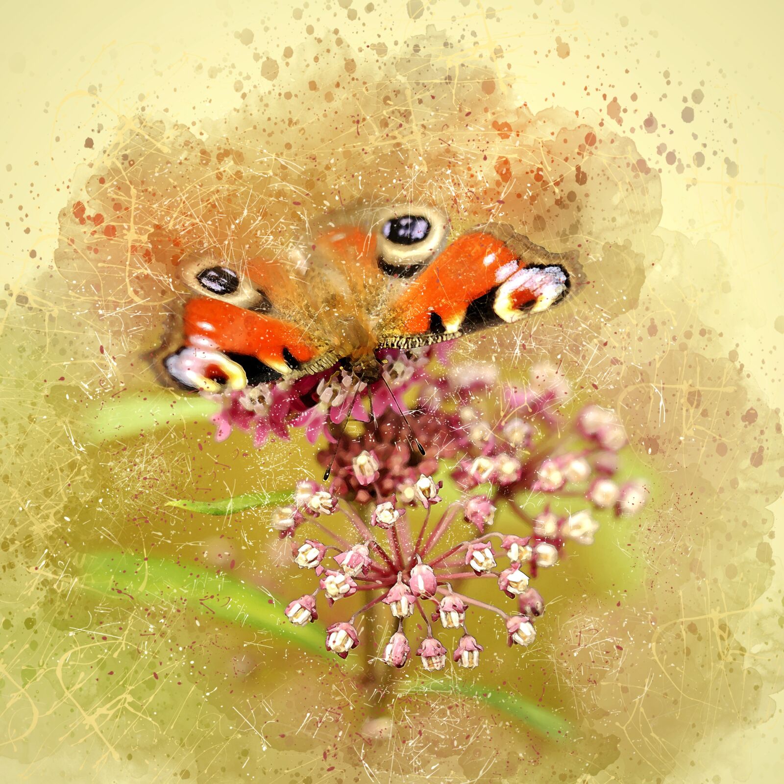 Nikon D3S sample photo. Butterfly, insect, peacock butterfly photography