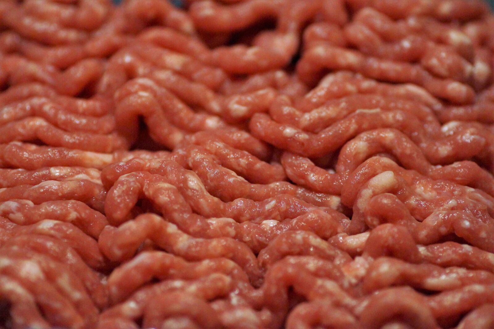 Sony SLT-A58 sample photo. Meat, minced, pork photography