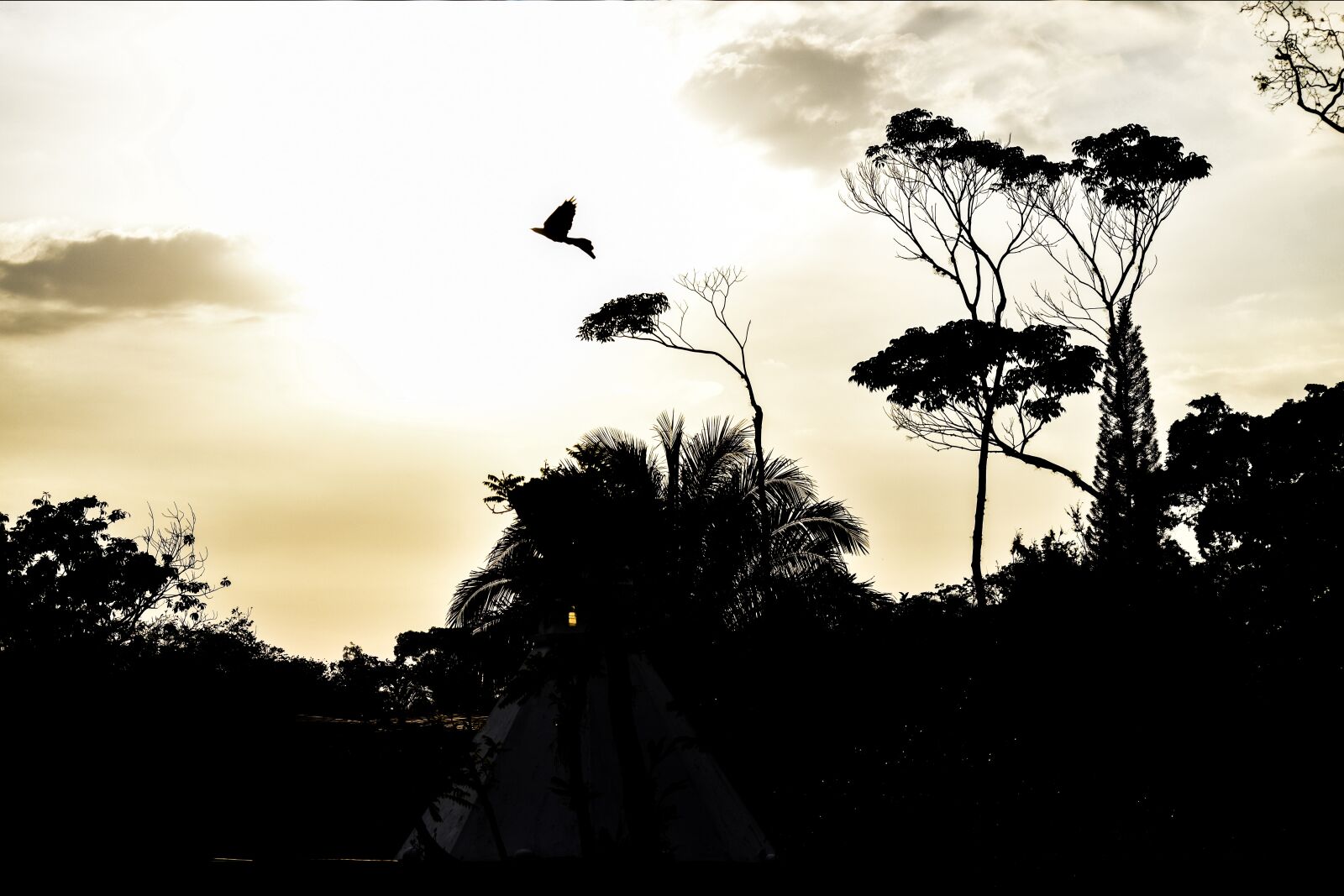 Nikon D3300 sample photo. Sky, landscape, ave photography