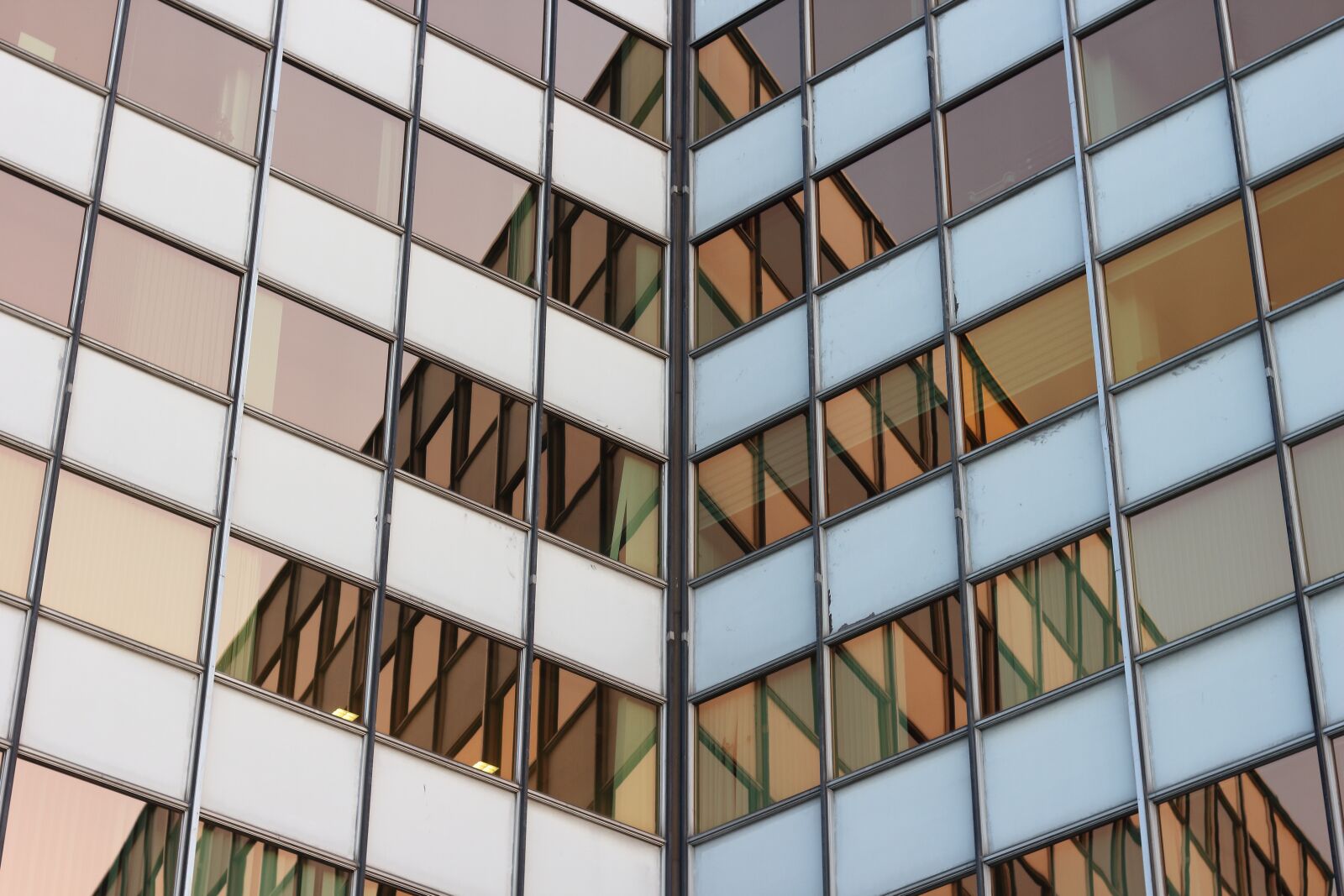 Canon EOS 550D (EOS Rebel T2i / EOS Kiss X4) sample photo. Glass items, architecture, contemporary photography