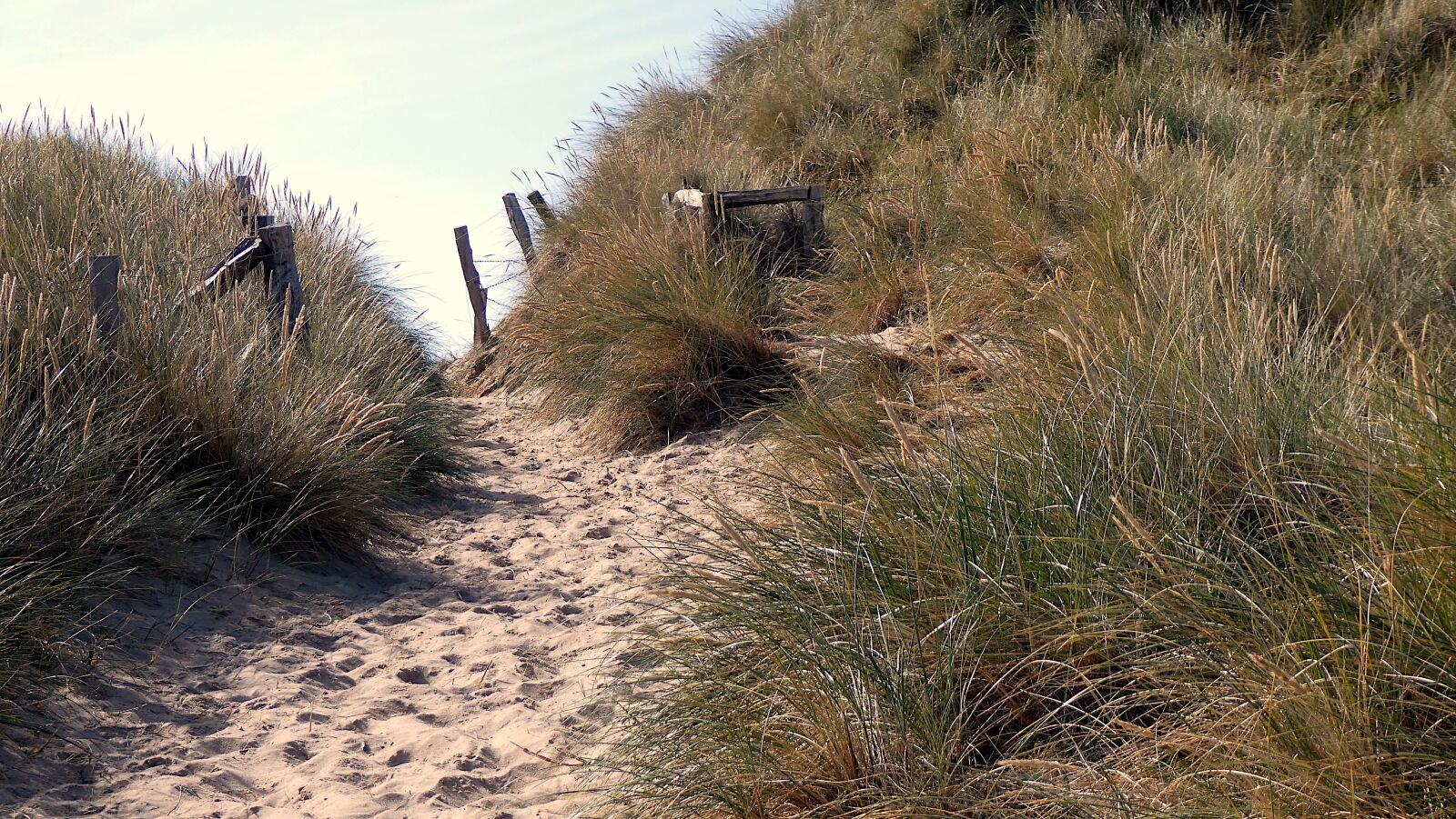 Panasonic DC-TZ91 sample photo. Access to the beach photography