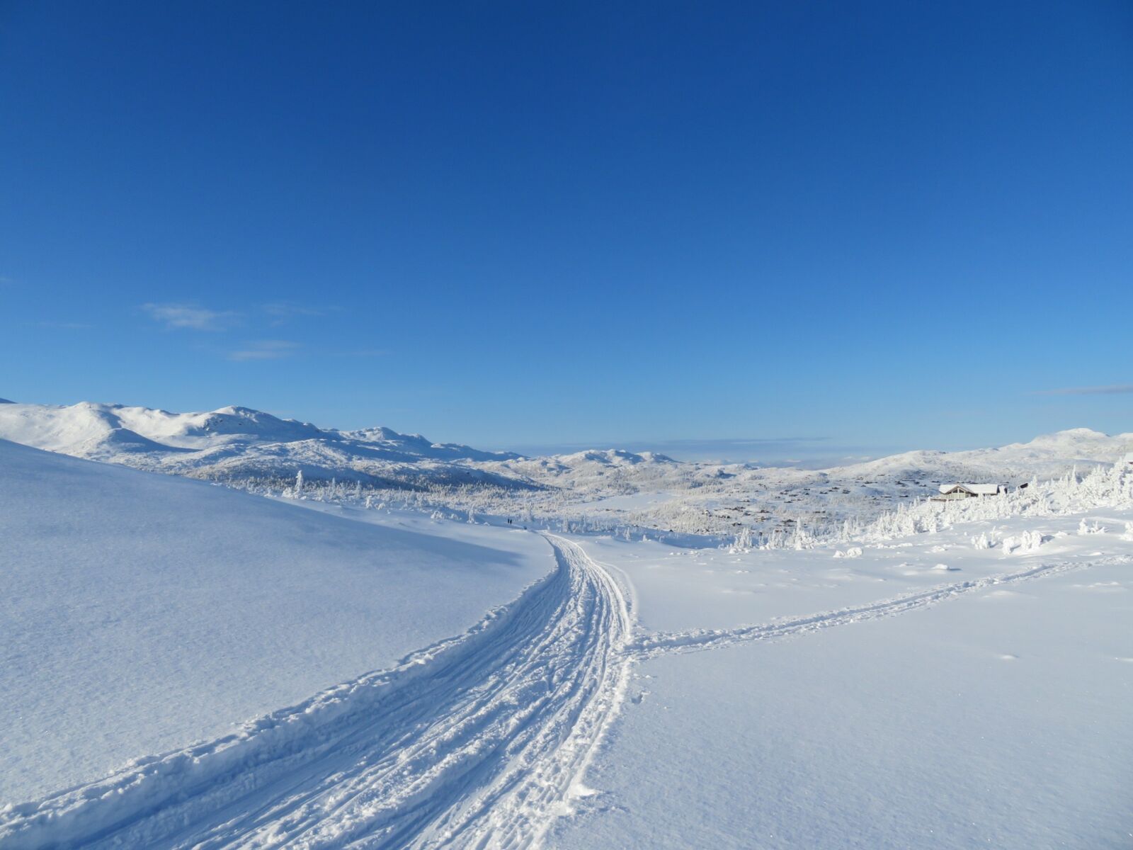 Canon PowerShot SX720 HS sample photo. Winter, the ski trail photography
