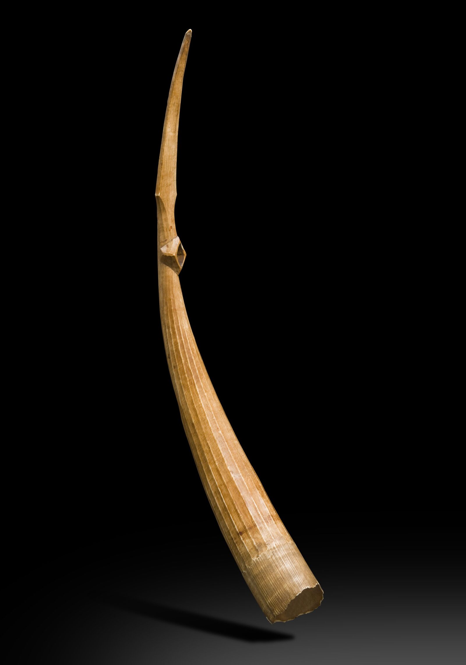 Sony Alpha DSLR-A900 sample photo. Ivory, africa, defence photography