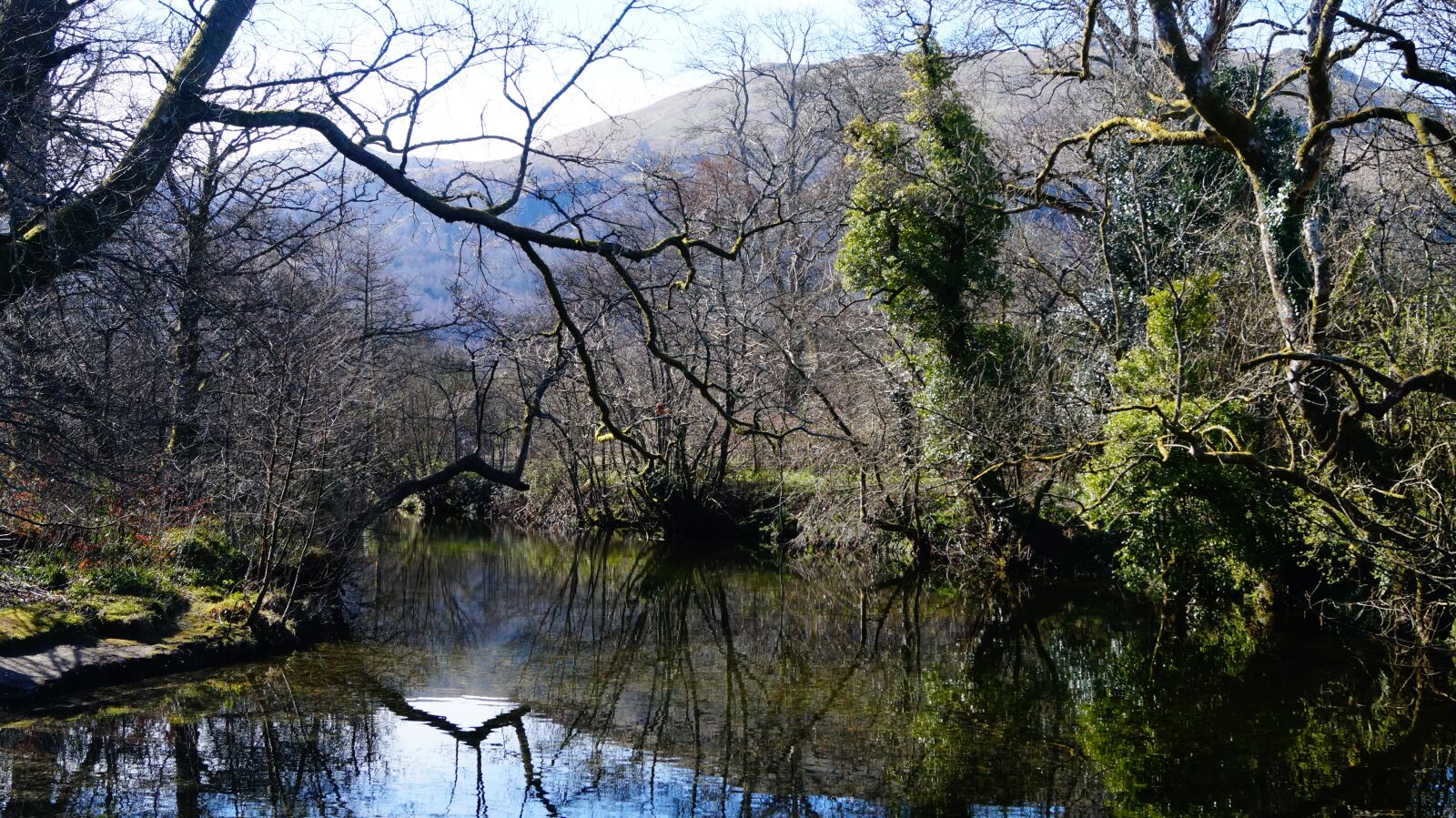 Sony SLT-A58 sample photo. Scotland, river, the inflow photography