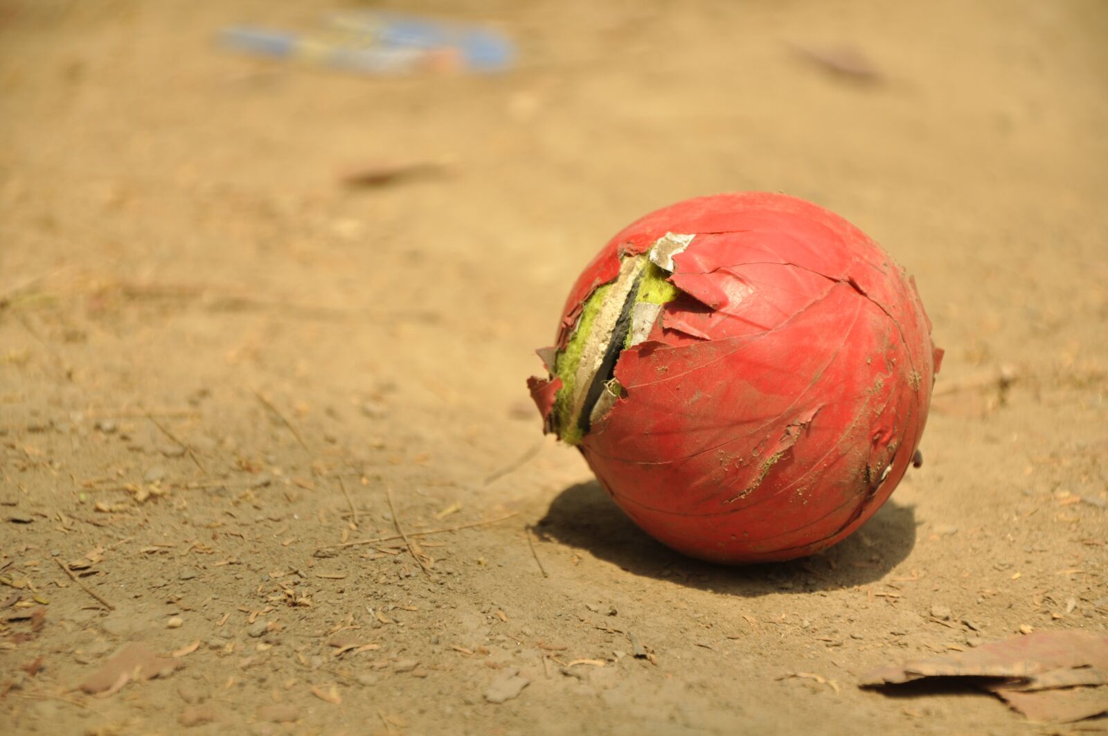 Nikon D90 sample photo. Ball, cricket, game photography