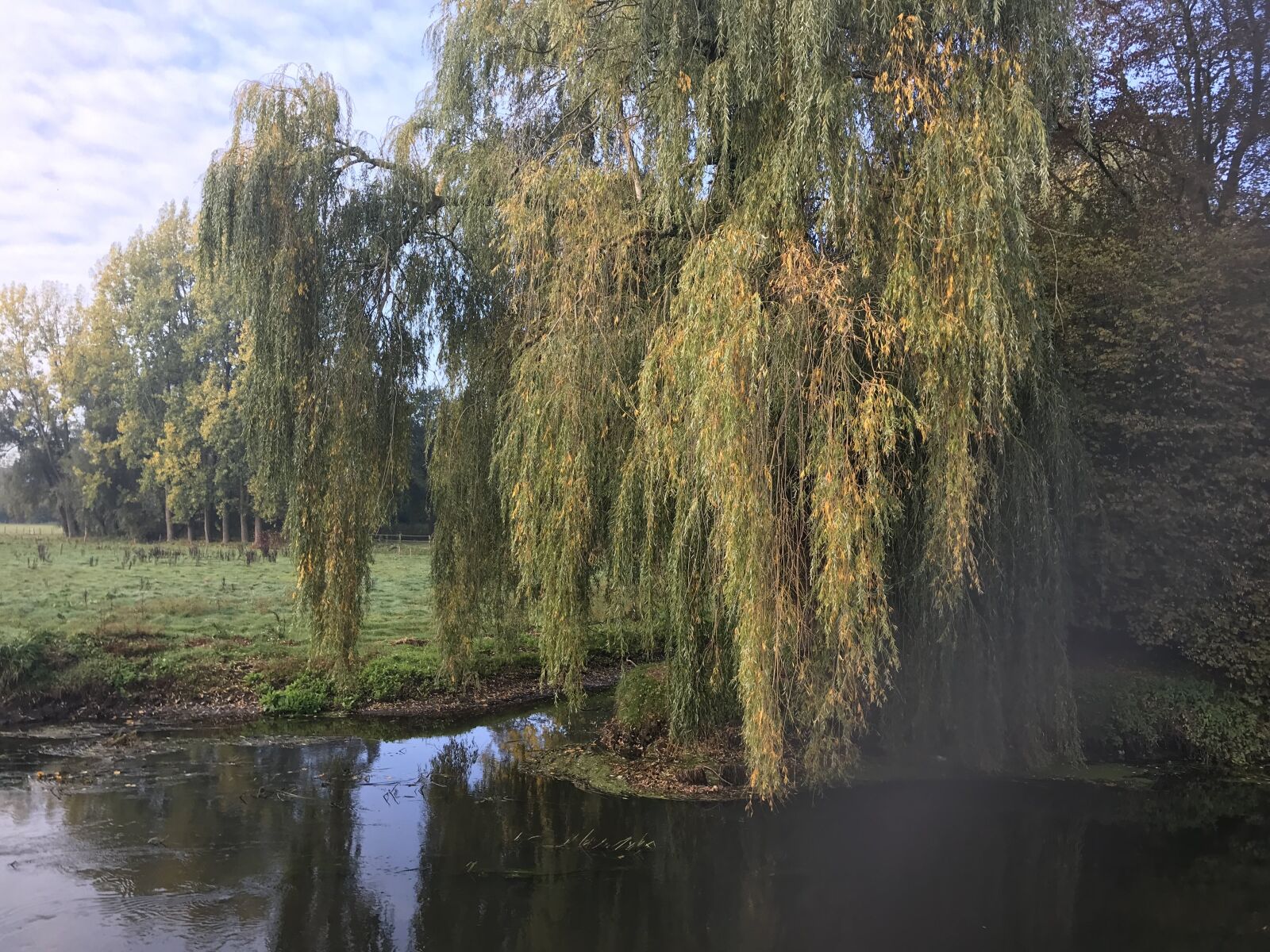 iPhone 7 back camera 3.99mm f/1.8 sample photo. Son and breugel, brabant photography