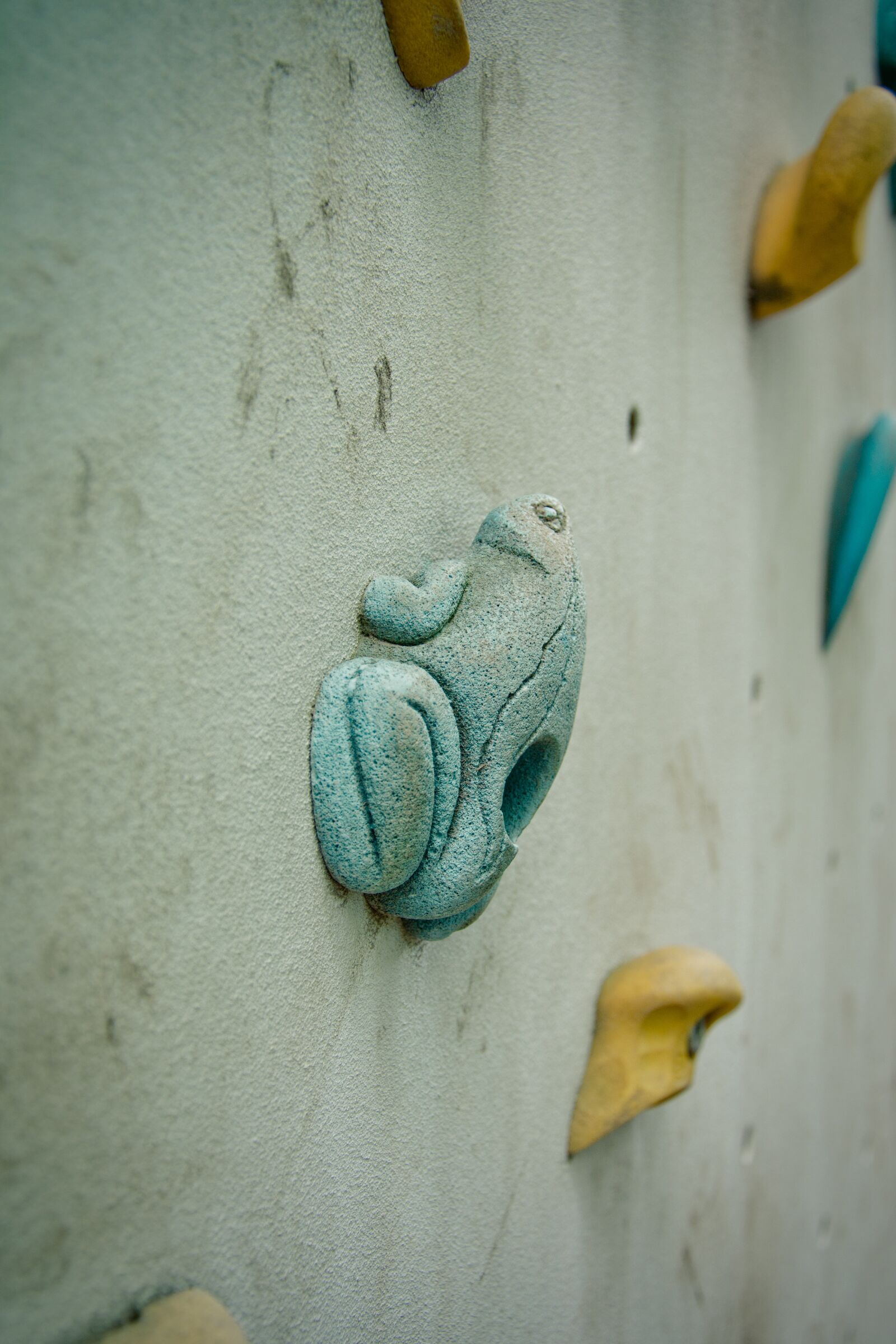 Nikon D7100 sample photo. Climbing wall, frog, grab photography