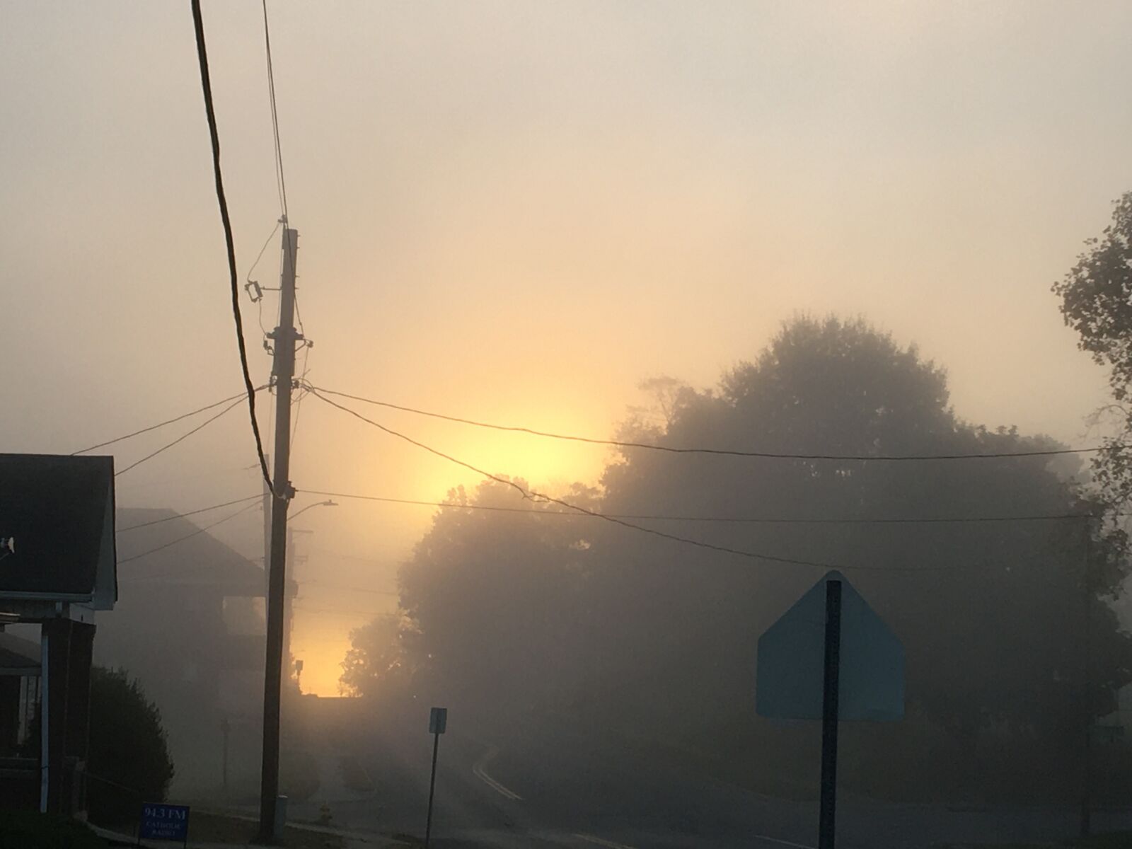 Apple iPhone 6s sample photo. Fog, early morning fog photography