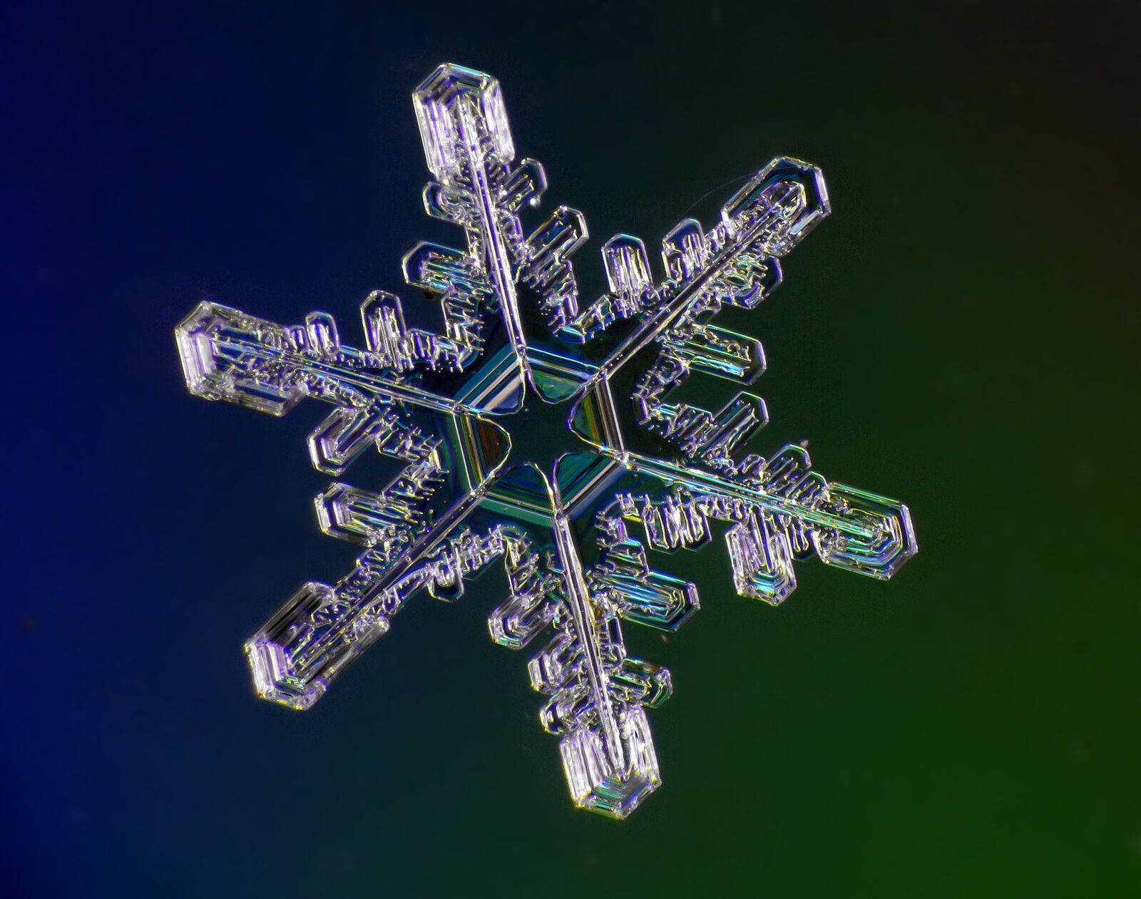 Canon PowerShot SX60 HS sample photo. Snow, crystal, winter photography