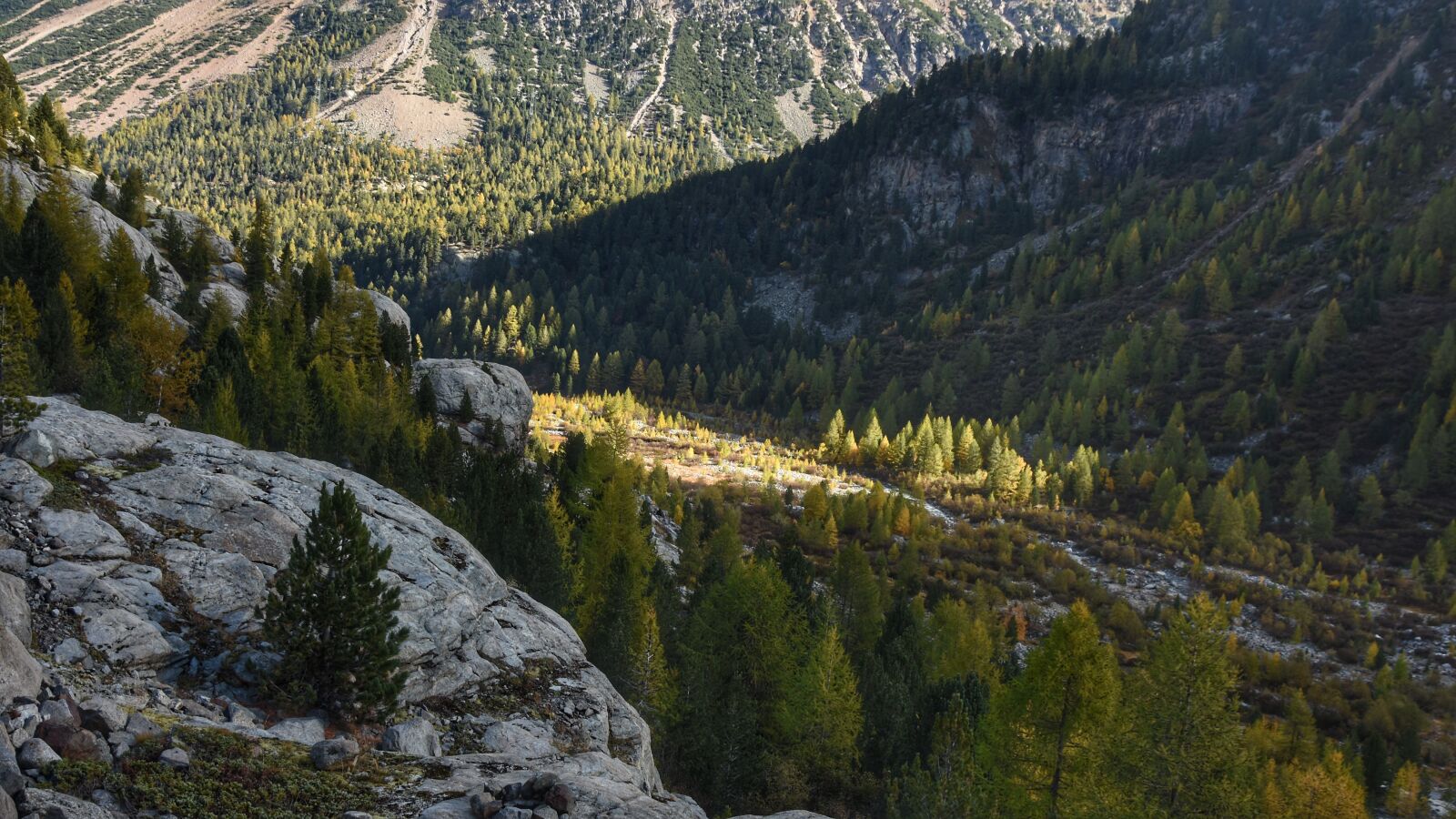 Nikon D7200 sample photo. Mountains, firs, sunlight photography