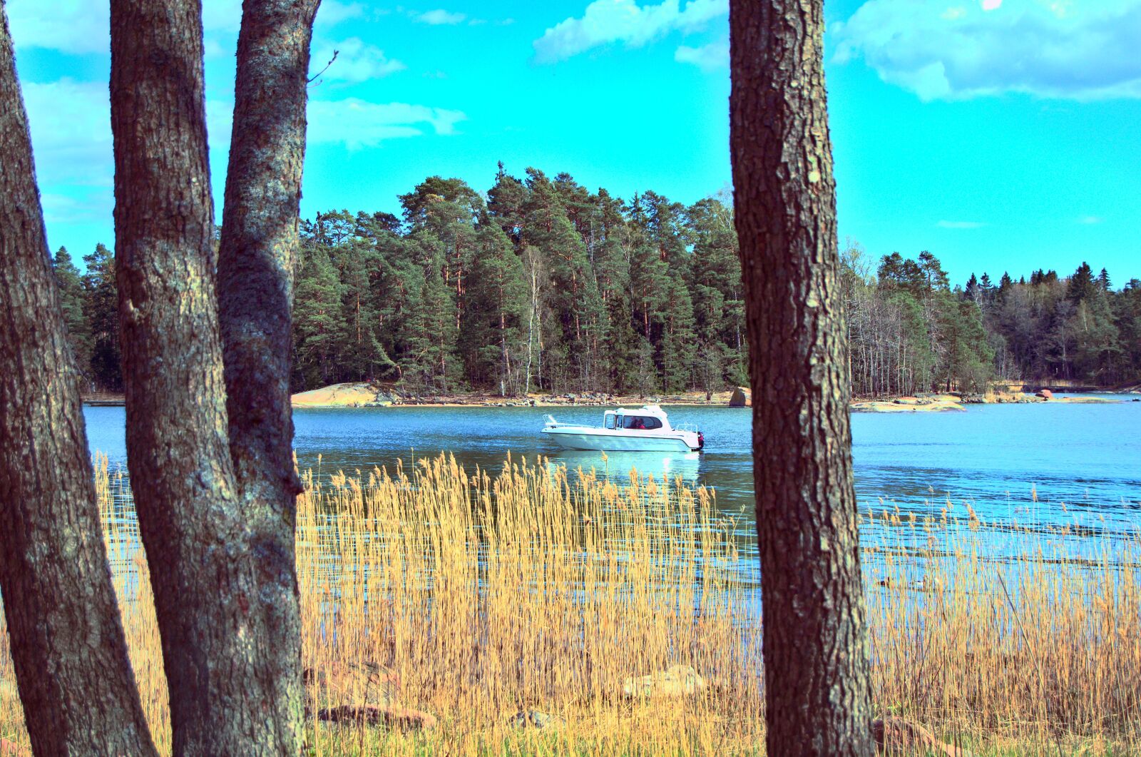 Nikon D5100 sample photo. Boat, ocean, nature photography
